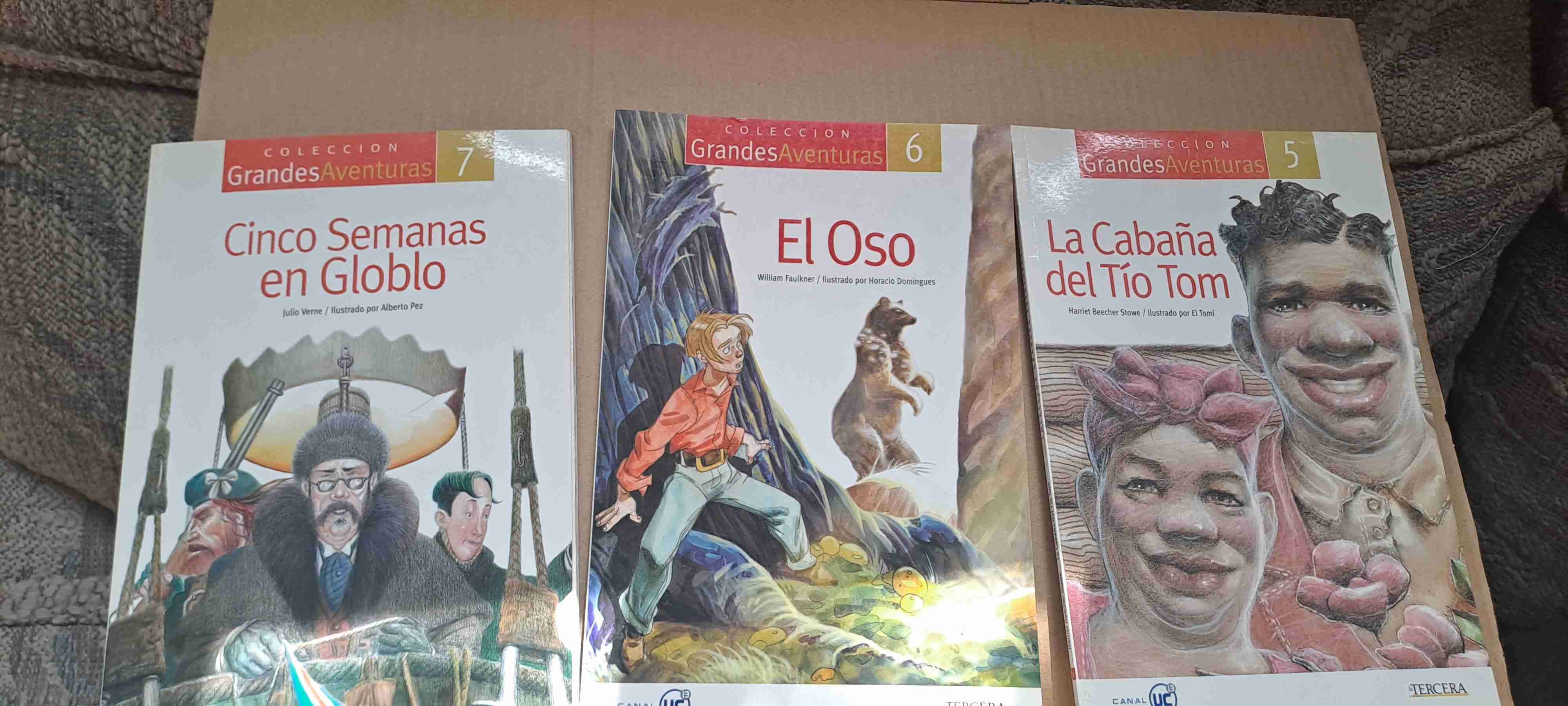 Colección de 25 Libros de la tercera - miniatura 2