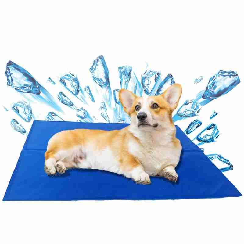 Alfombra refrescante para perros - miniatura 4