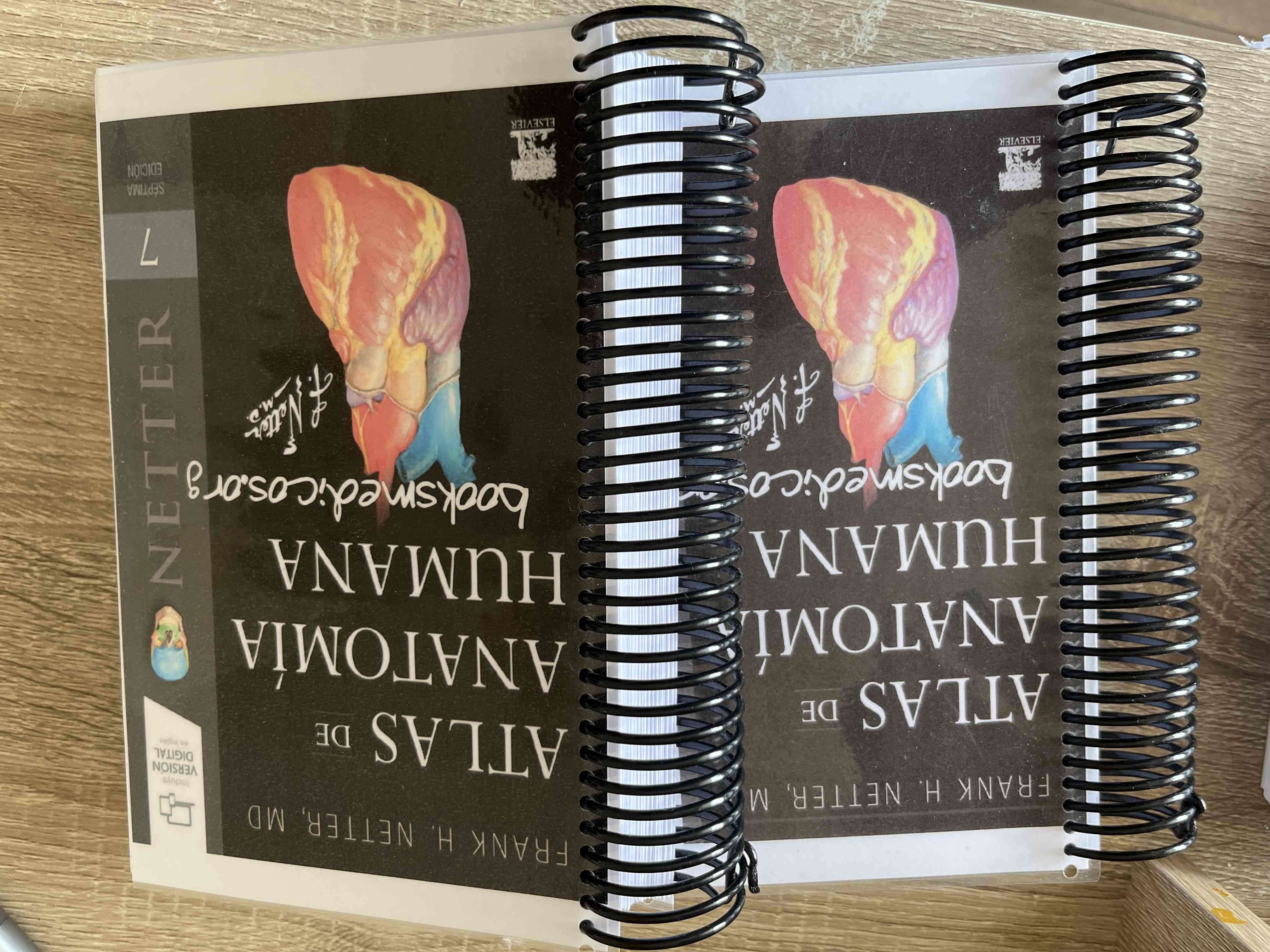 Atlas de Anatomía Humana edición espiral