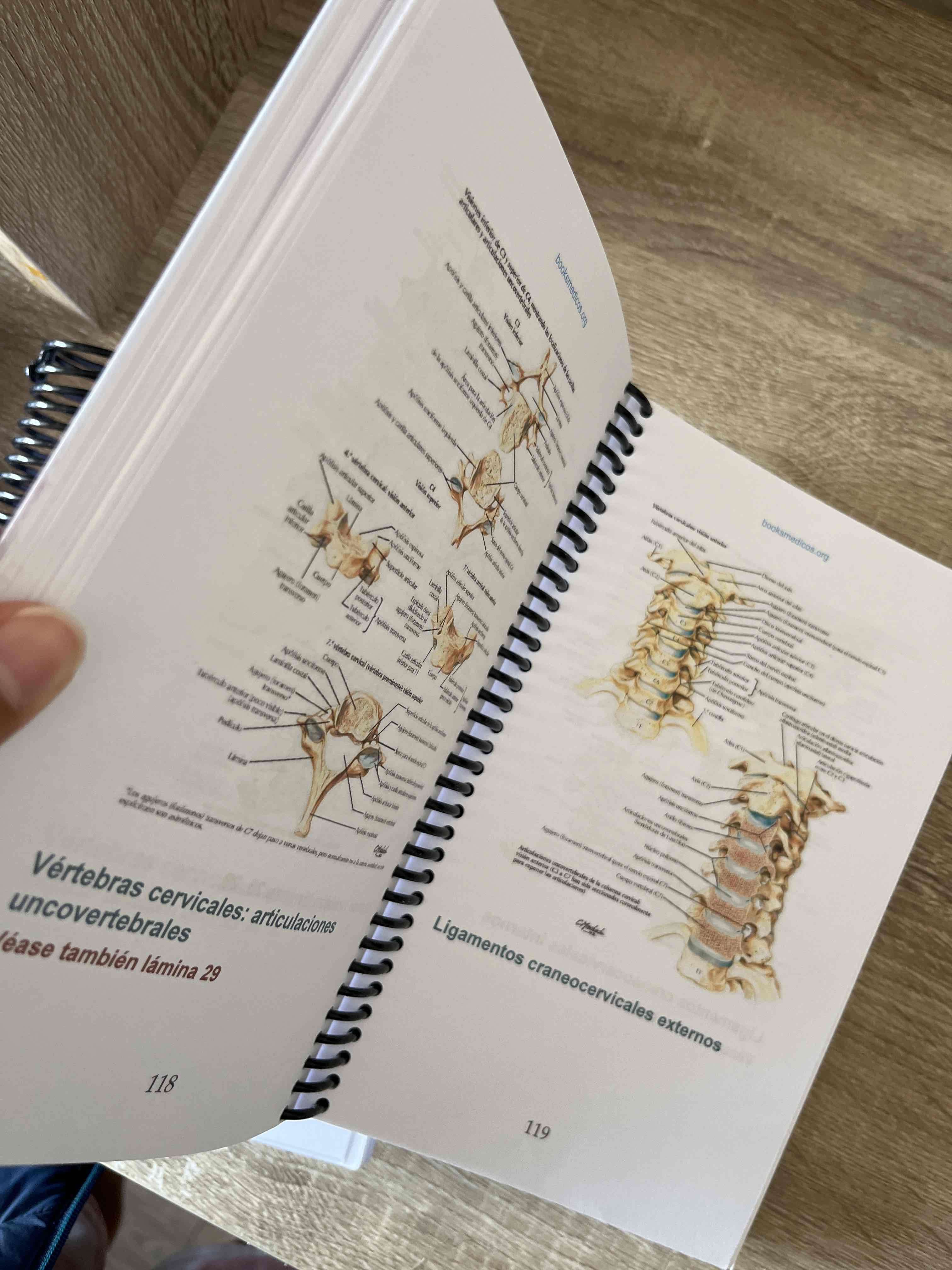 Atlas de Anatomía Humana edición espiral - miniatura 2