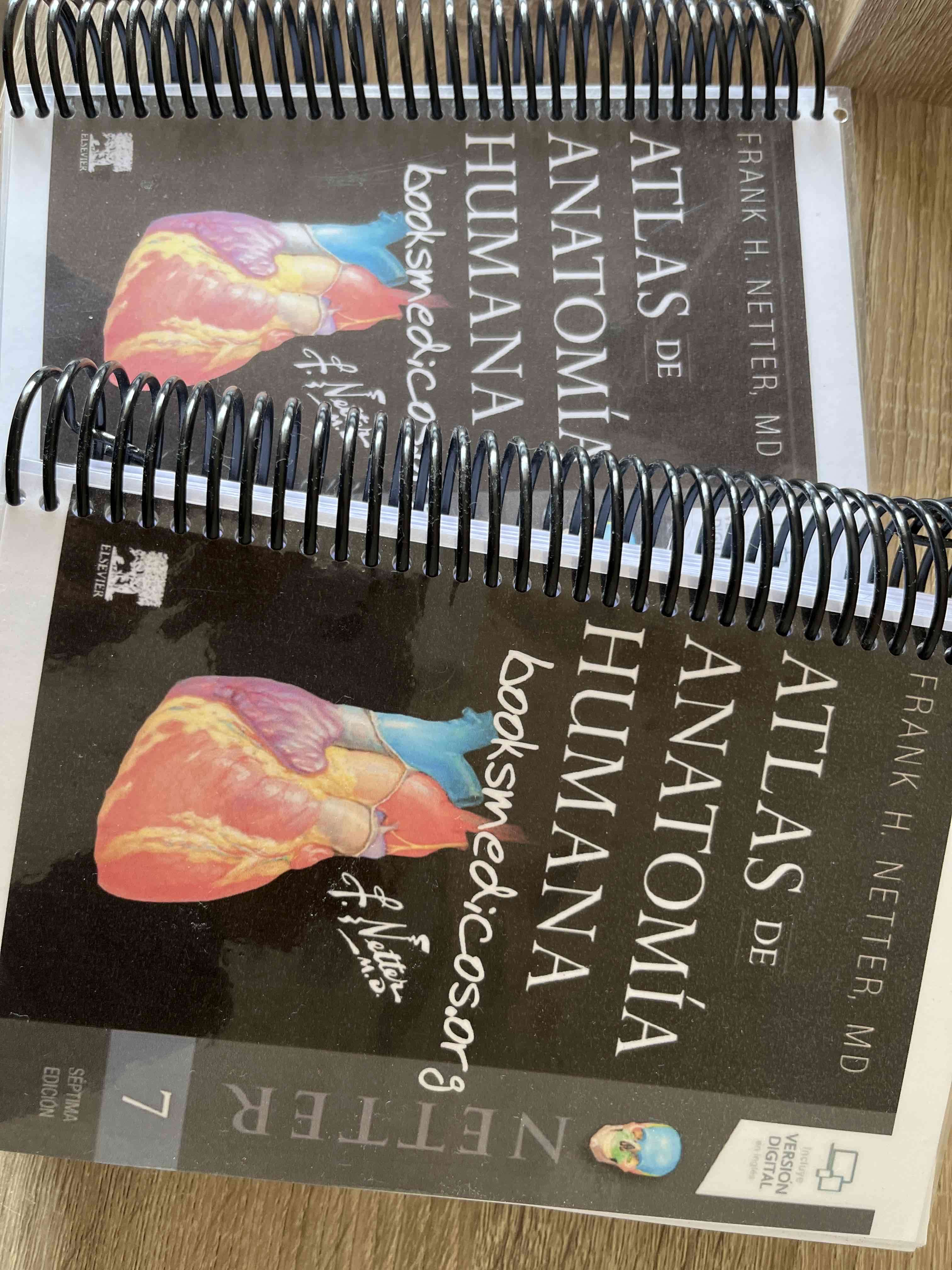 Atlas de Anatomía Humana edición espiral - miniatura 3