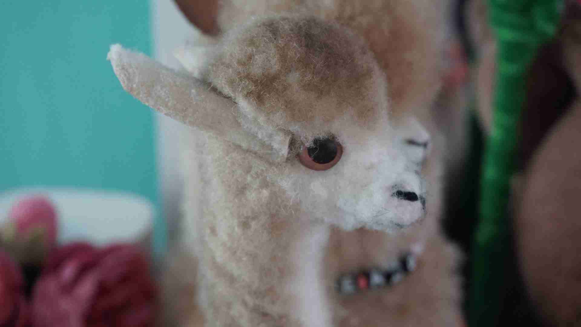 Cámara Sony Alpha A6000 - miniatura 8