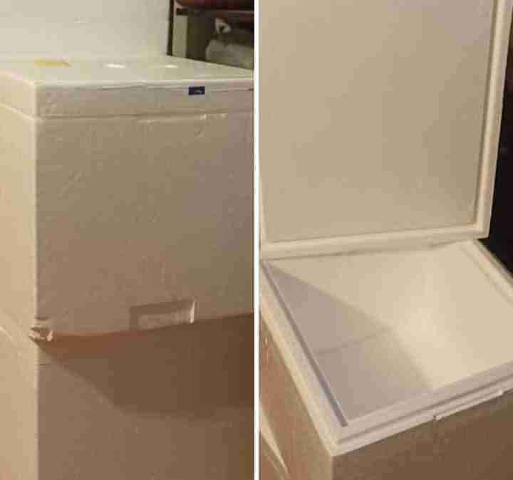 Congelador horizontal blanco de plumavit