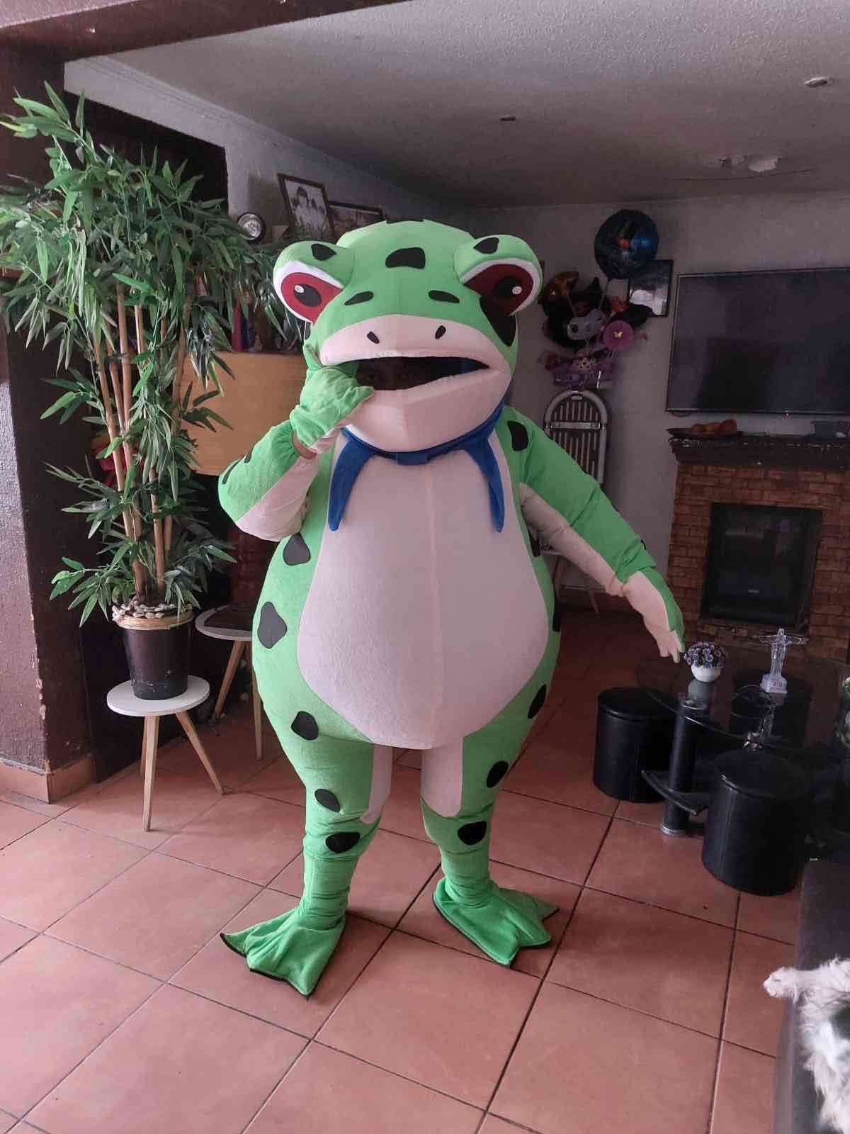 Disfraz de rana viral tikto