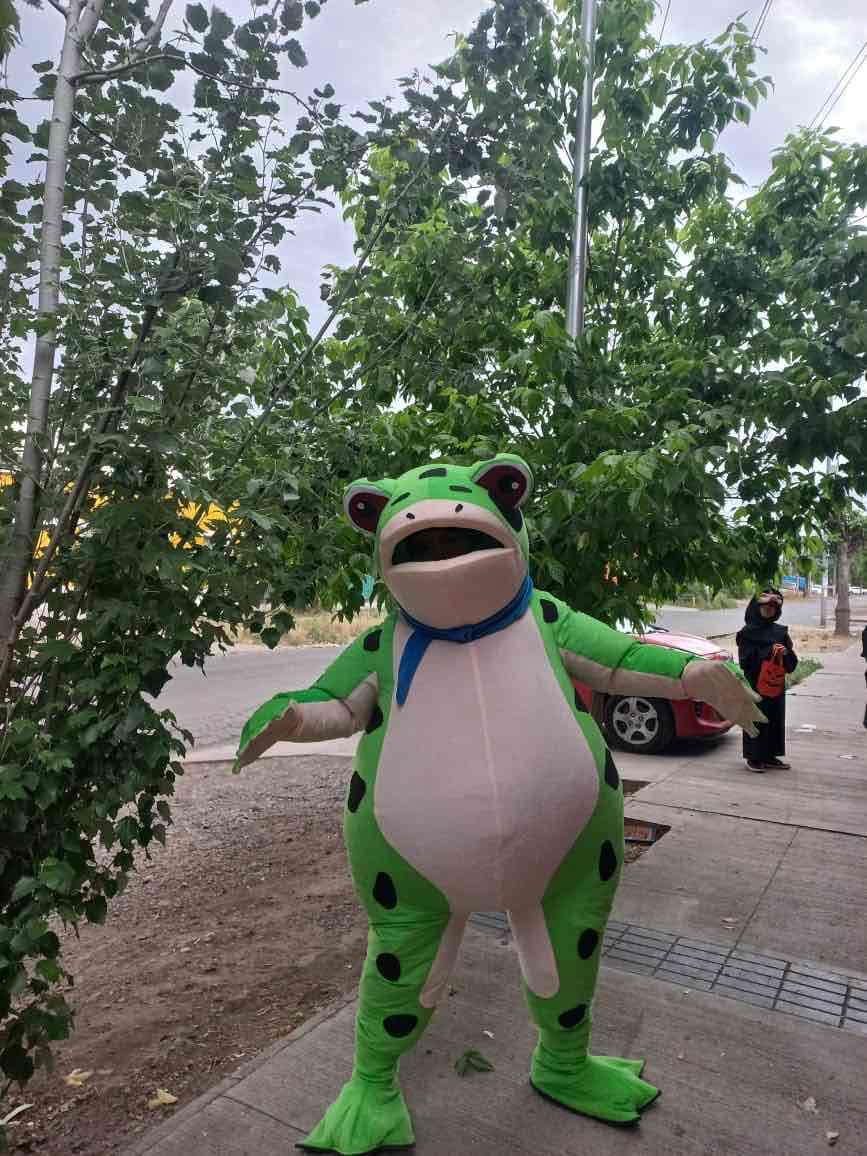 Disfraz de rana viral tikto - miniatura 4