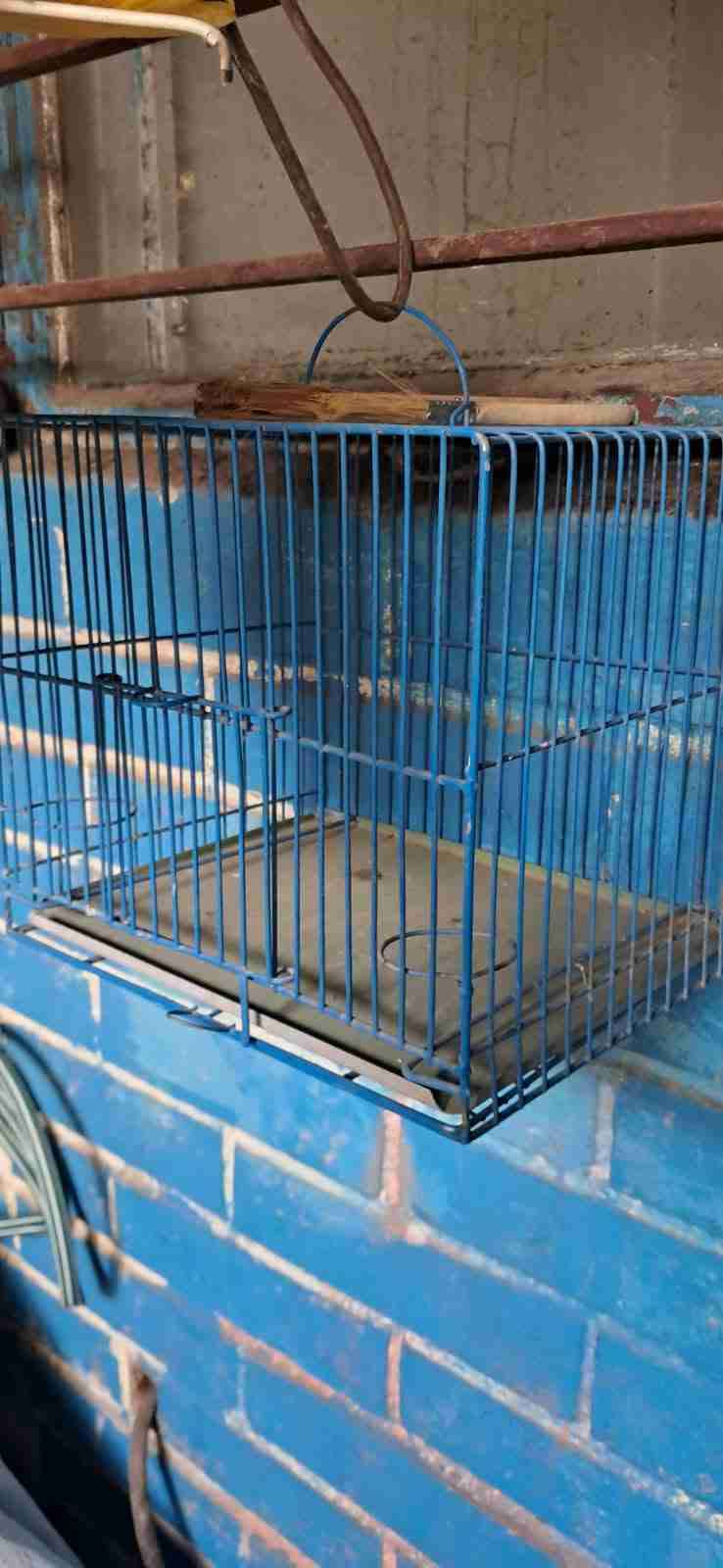 Jaula metálica azul para aves