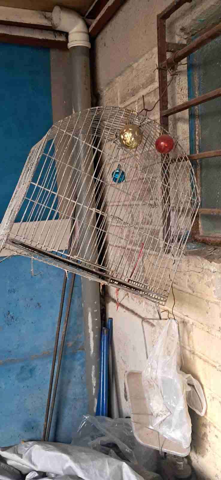 Jaula para aves metálica