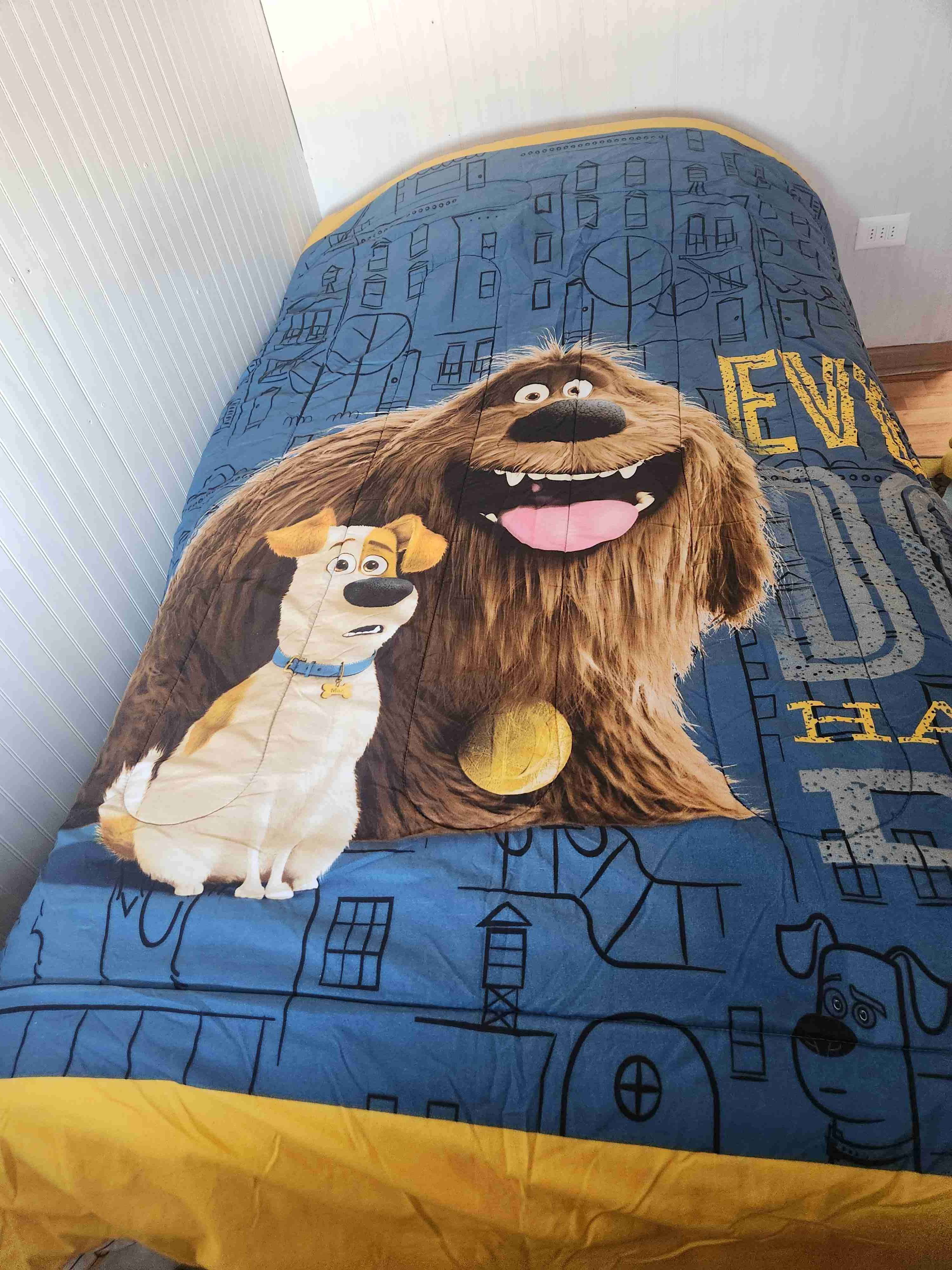 Edredón de personajes animados