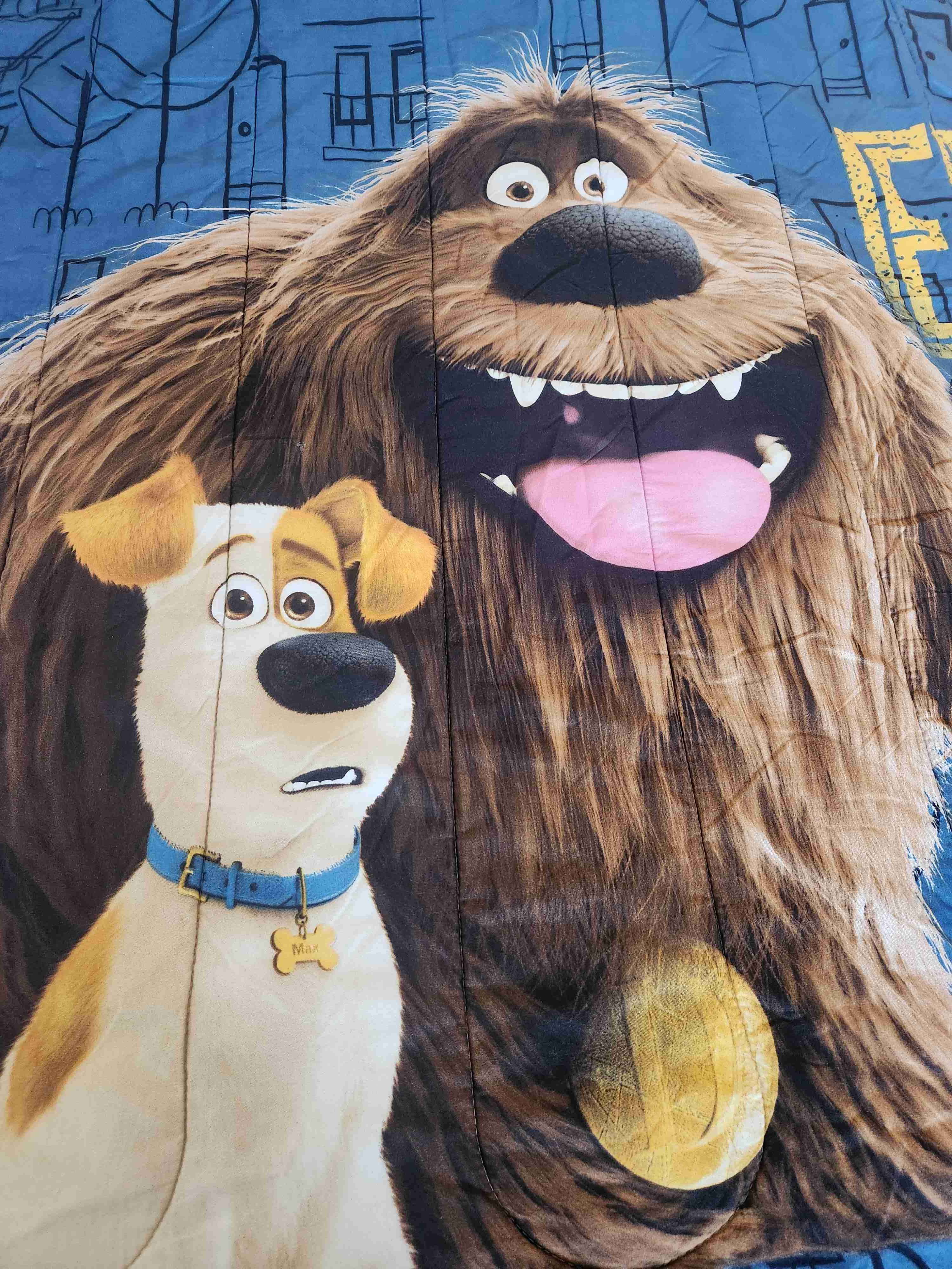 Edredón de personajes animados - miniatura 2