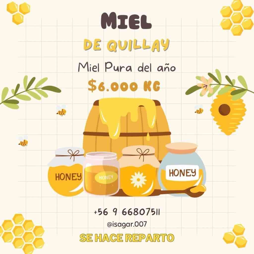 Miel De Quillay - miniatura 4