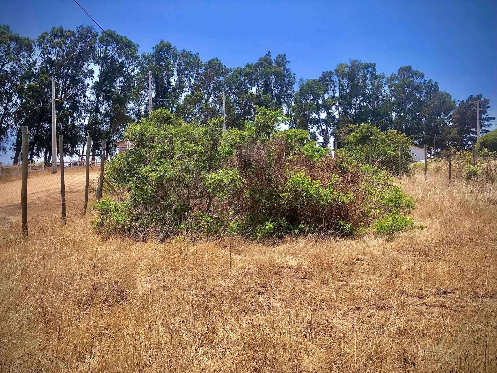 Sitio Romeral/Papudo (KM 161 Ruta 5 Norte) - miniatura 2