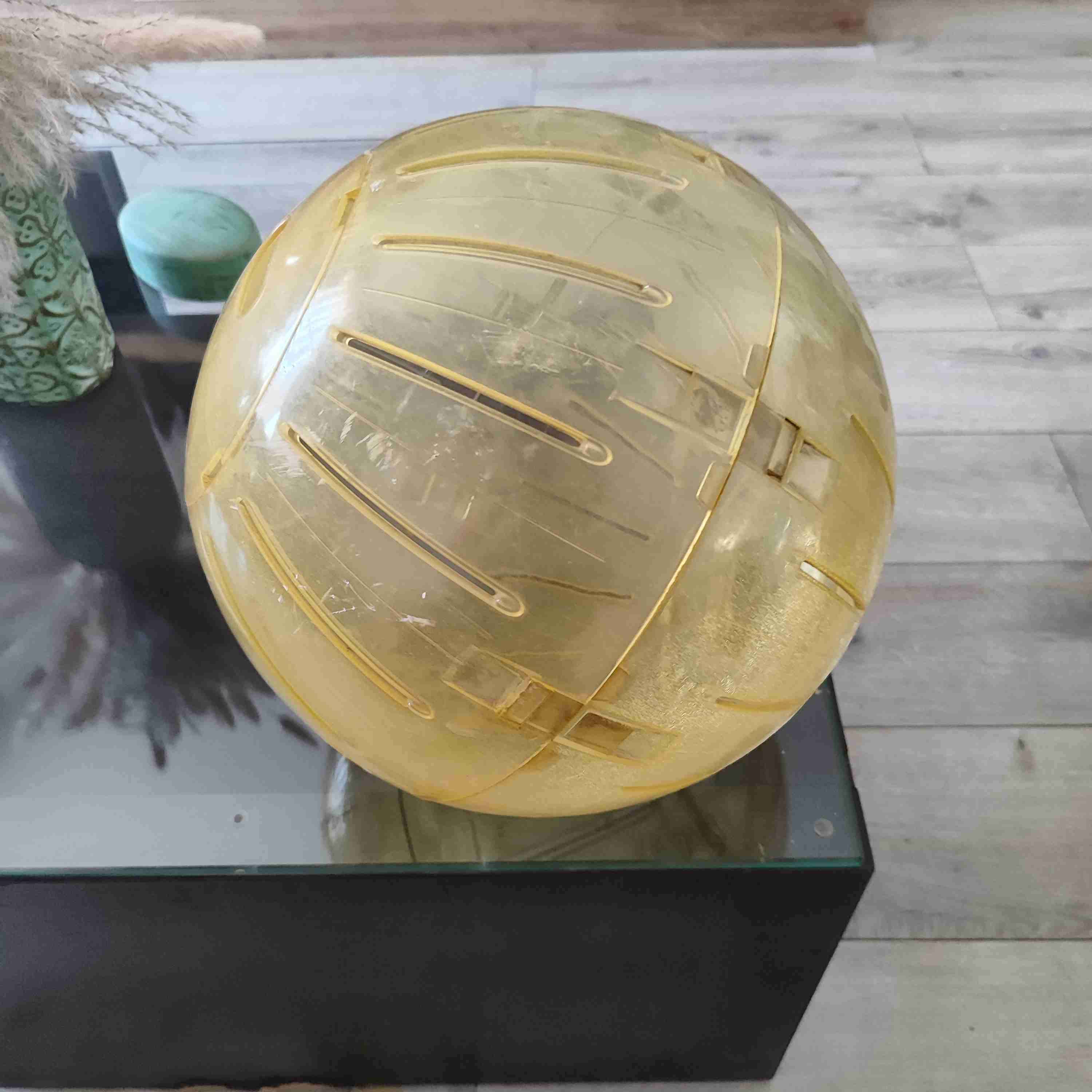 Bola de ejercicio para mascotas