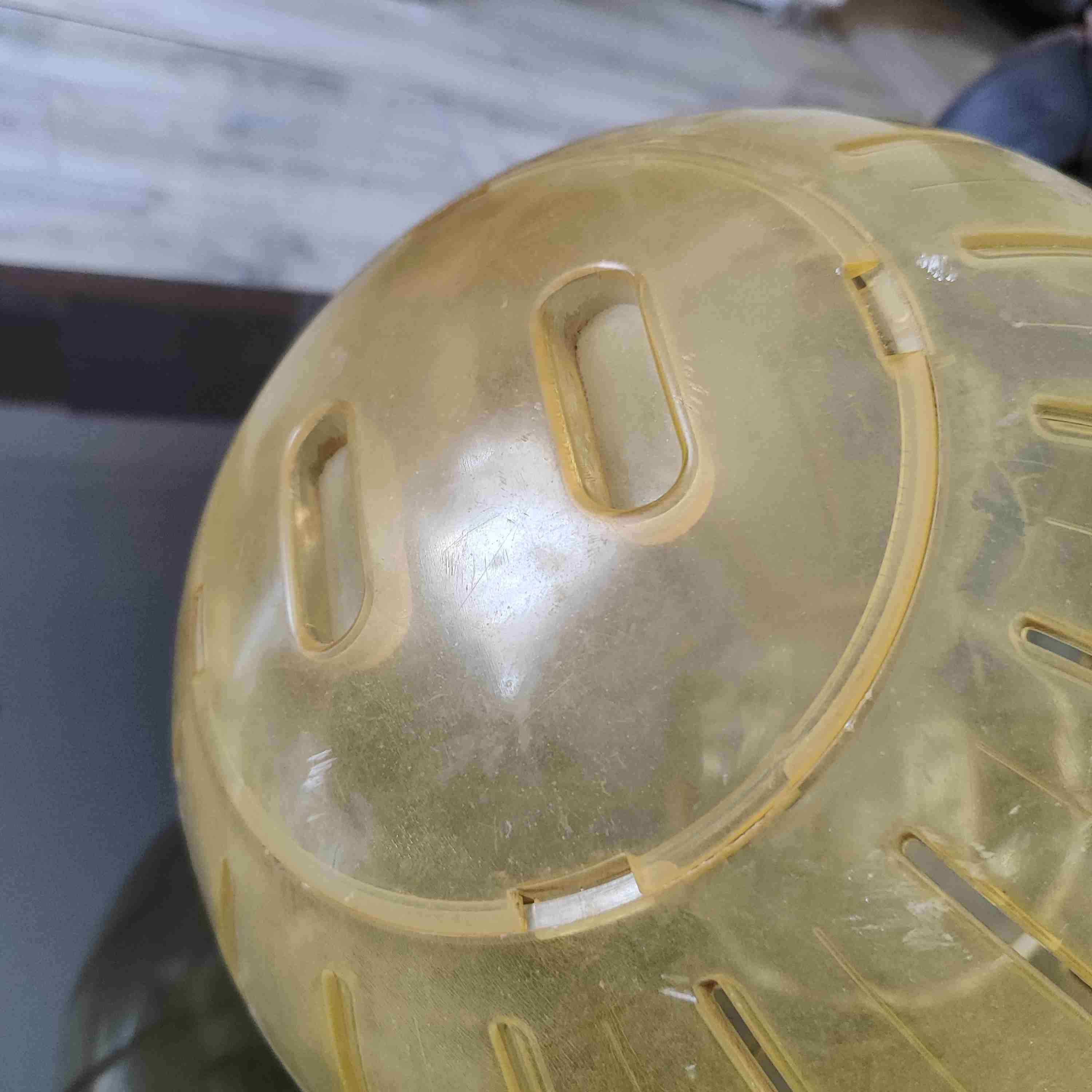 Bola de ejercicio para mascotas - miniatura 2