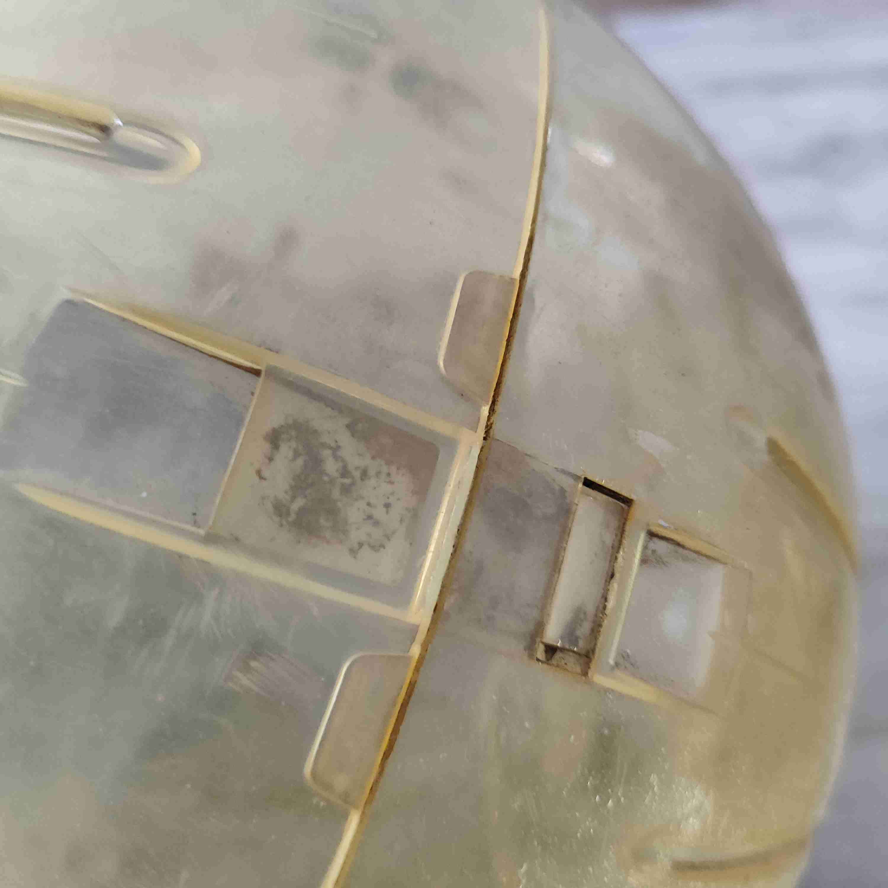 Bola de ejercicio para mascotas - miniatura 3