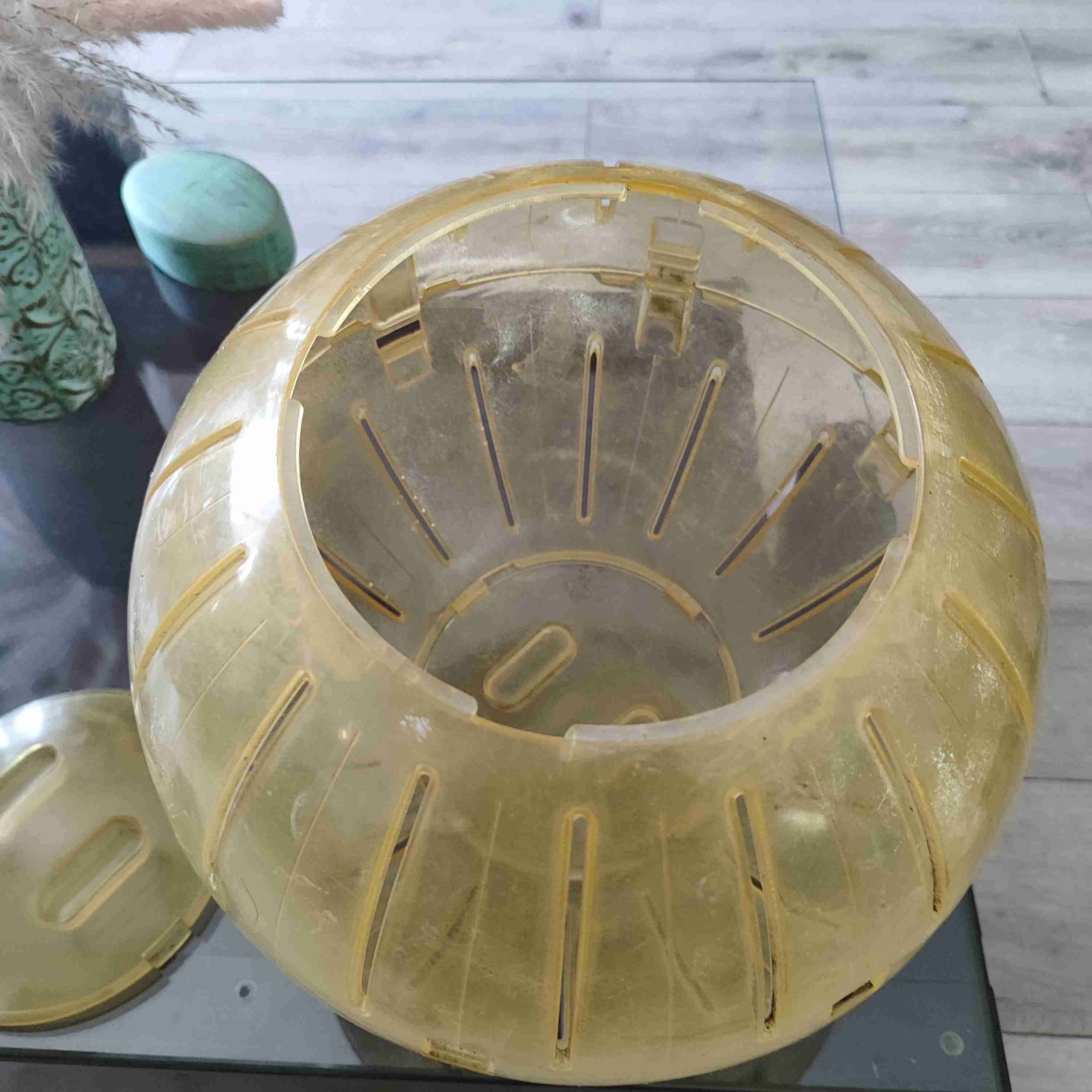 Bola de ejercicio para mascotas - miniatura 4