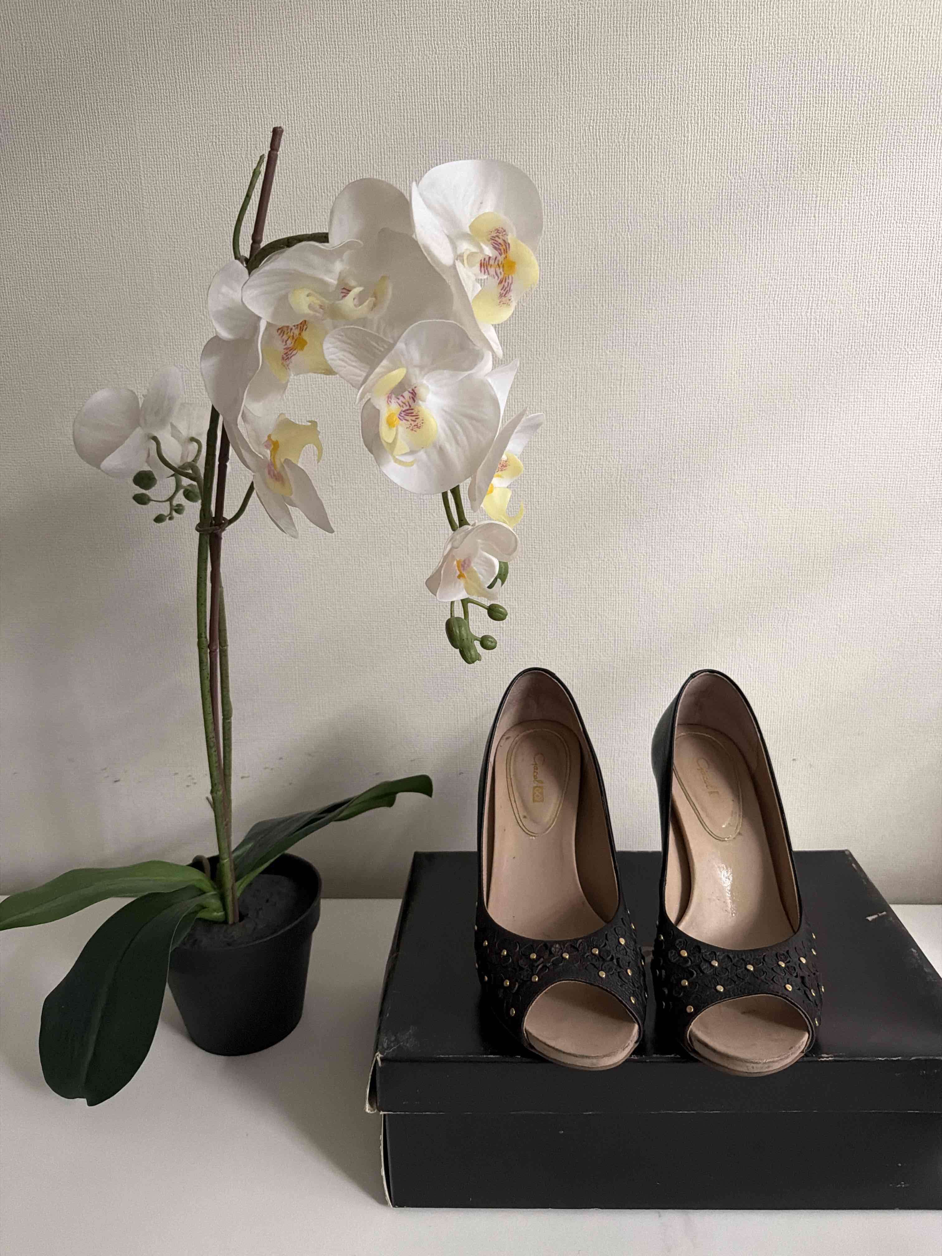 Tacones negros Gacel  Negros - miniatura 2