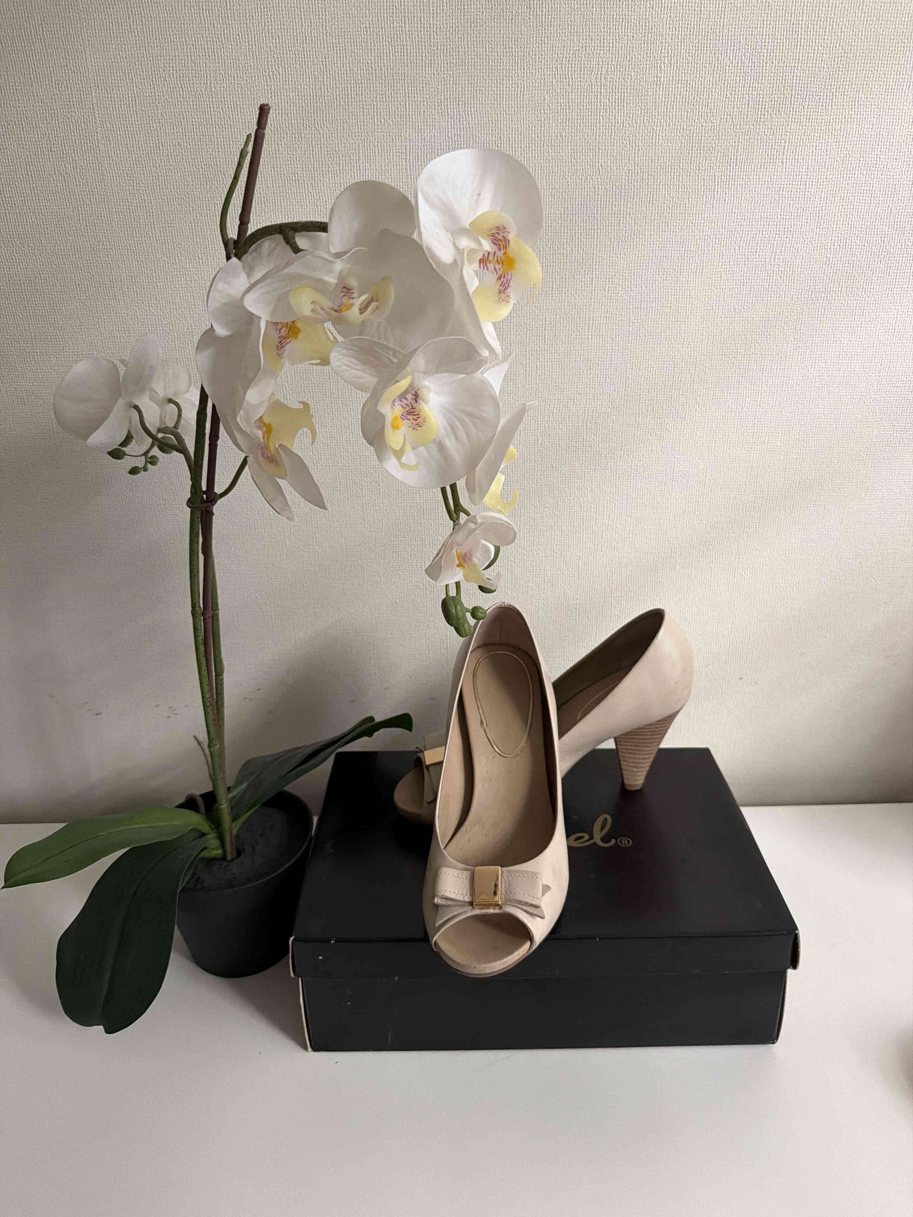 Zapatos de tacón beige con lazo marca Gacel