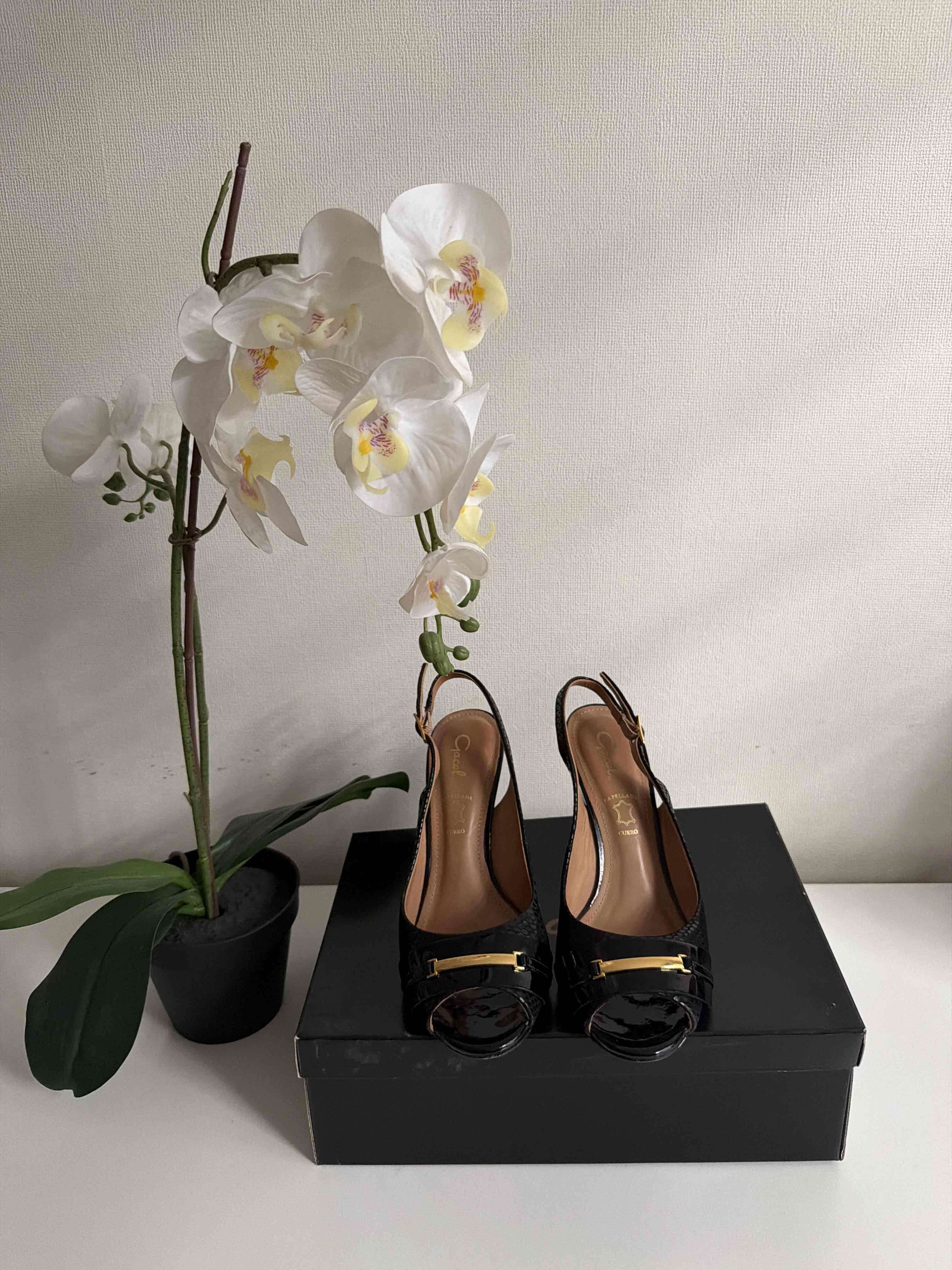 Zapatos Gacel de tacón negro talla 38