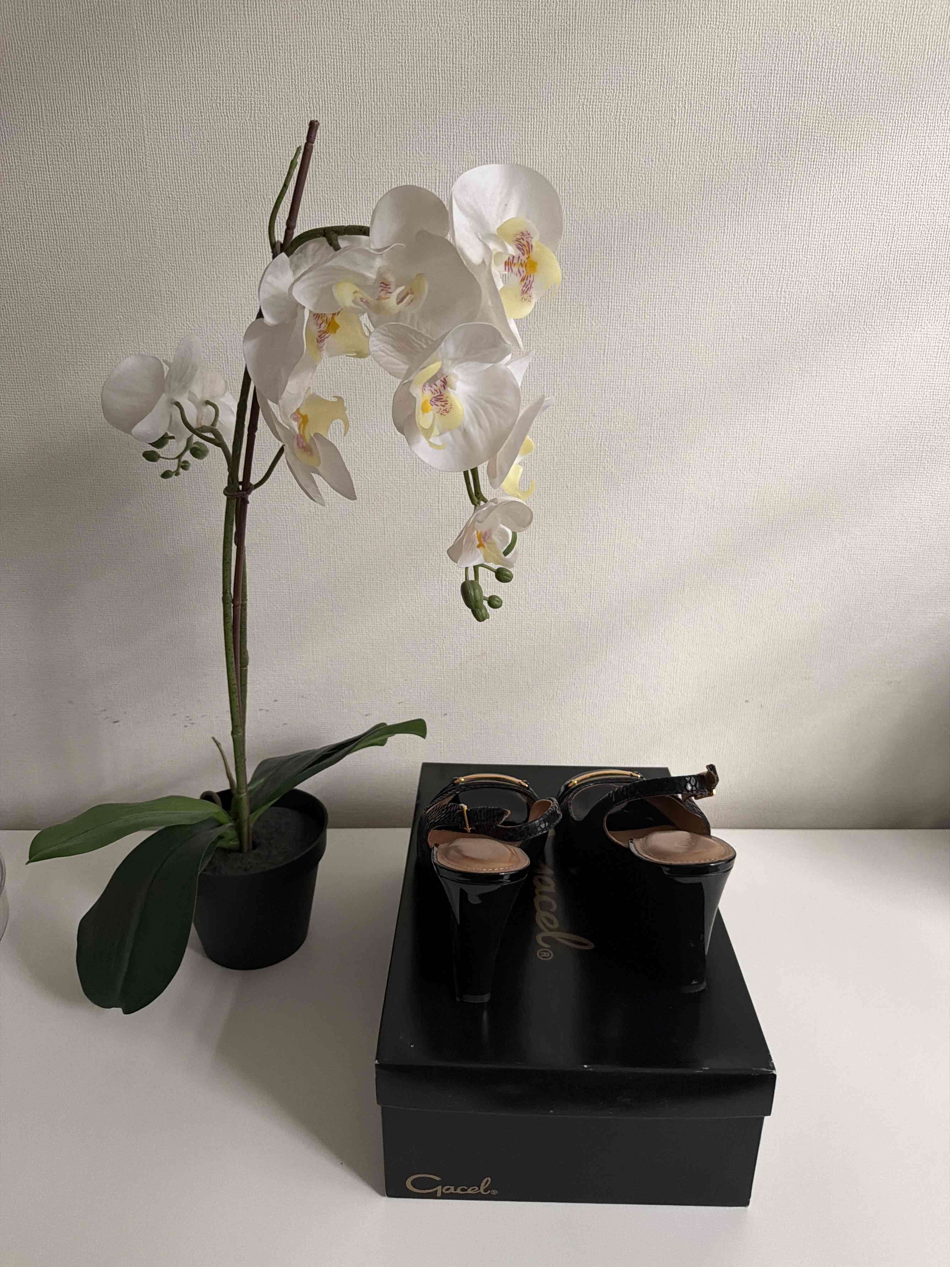 Zapatos Gacel de tacón negro talla 38 - miniatura 3