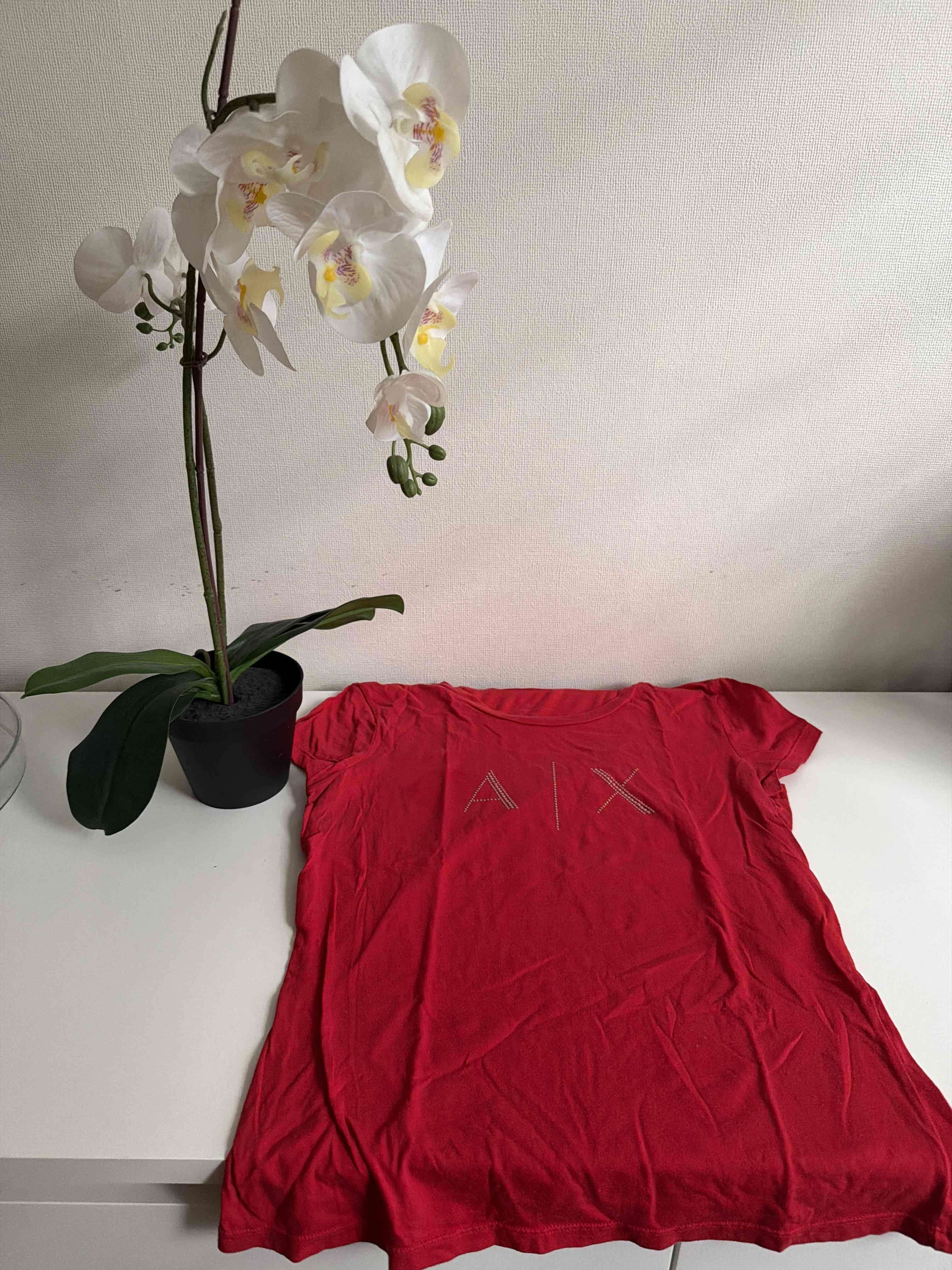 Polera roja con diseño AIX
