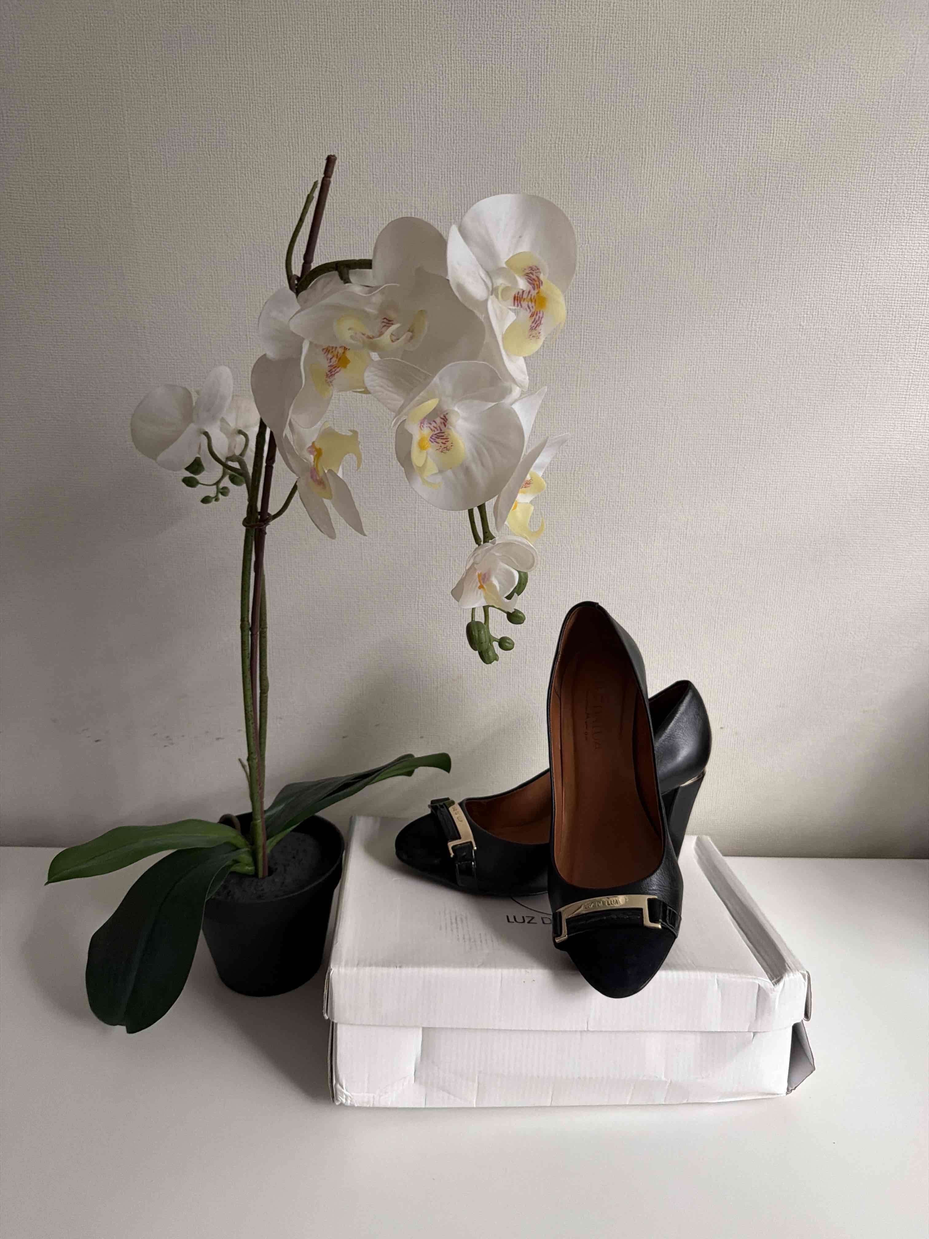 Zapatos negros elegantes con hebilla Luz Dalua