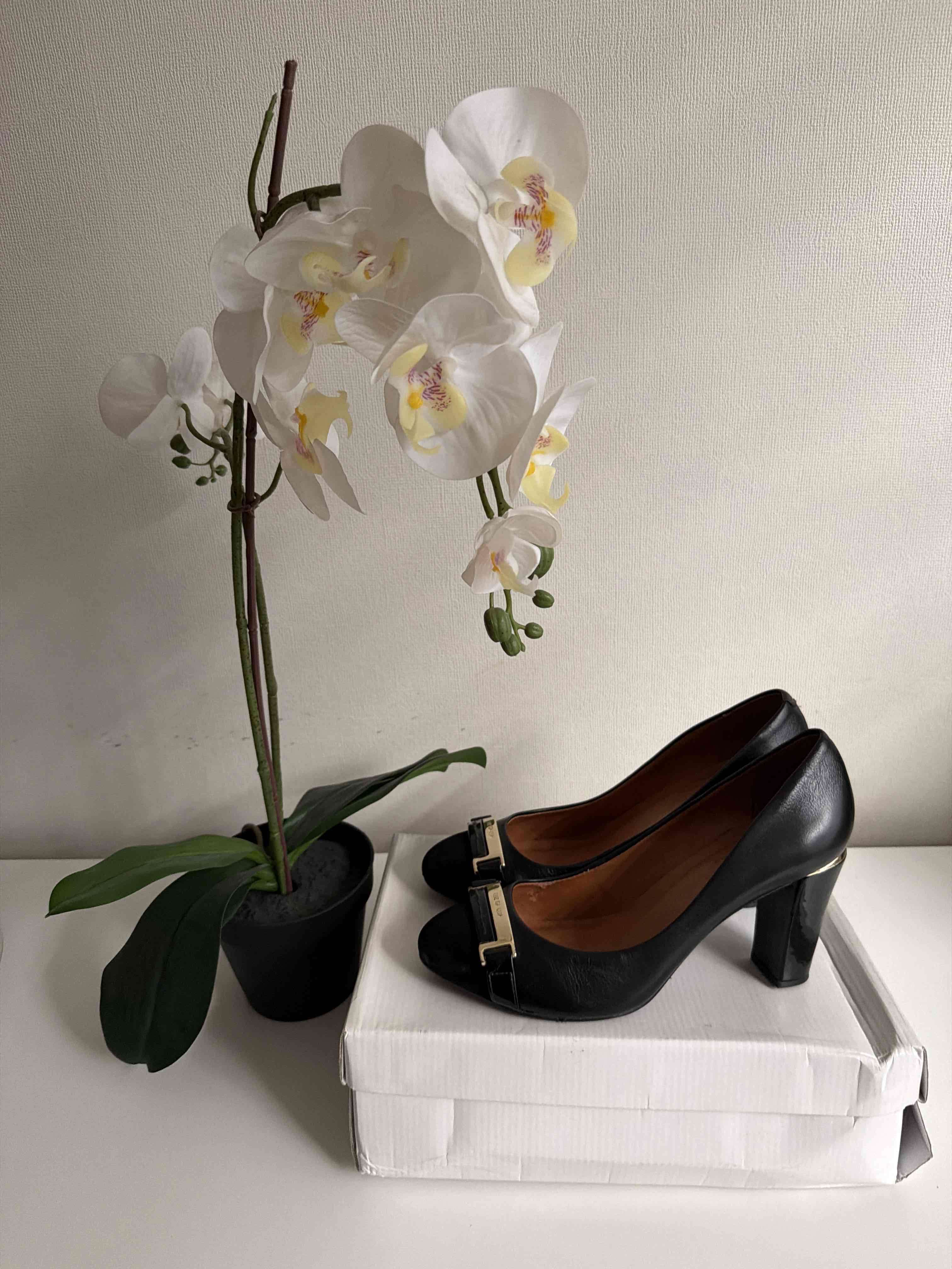 Zapatos negros elegantes con hebilla Luz Dalua - miniatura 3