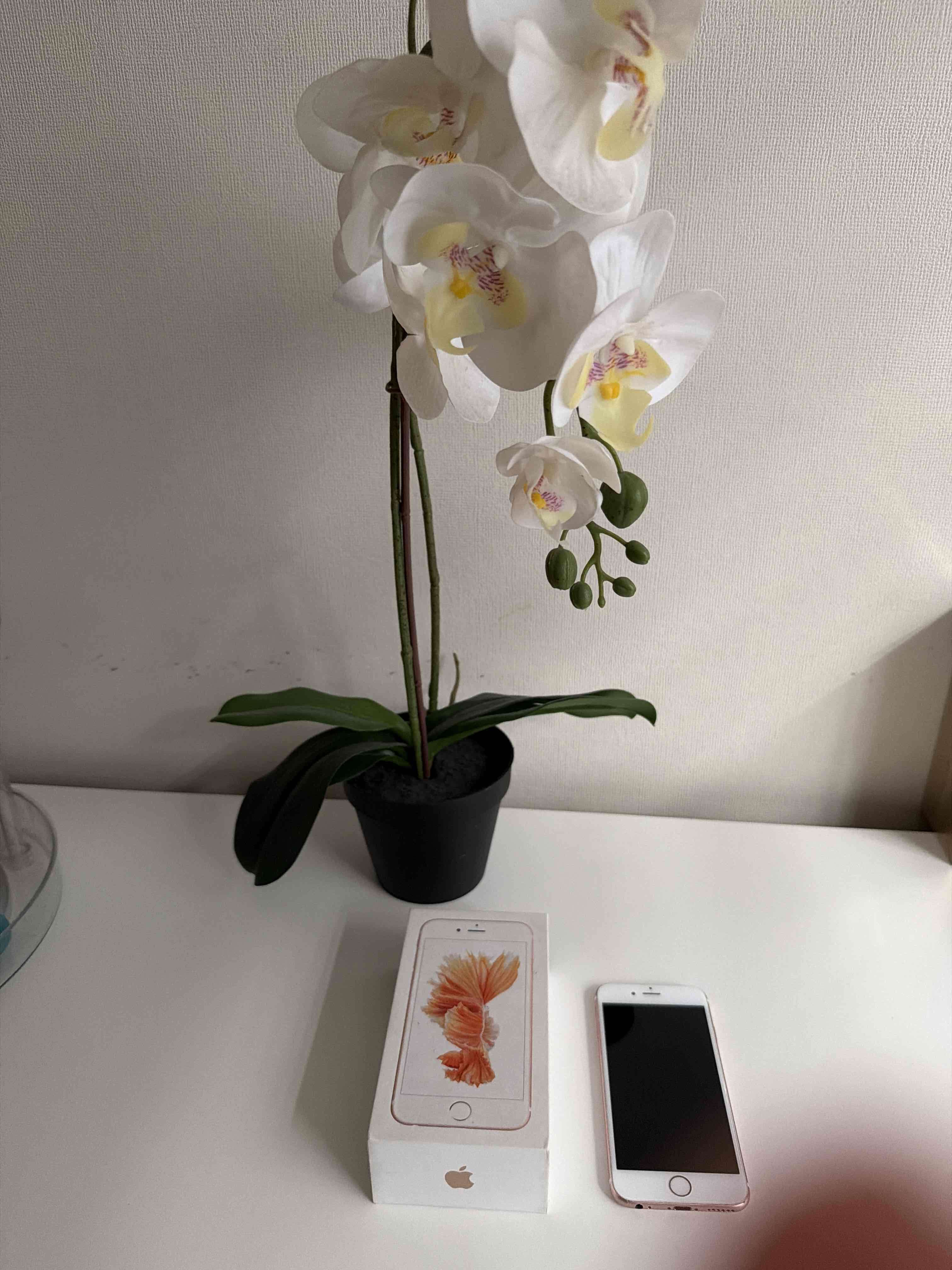 iPhone con caja original iPhone 6s