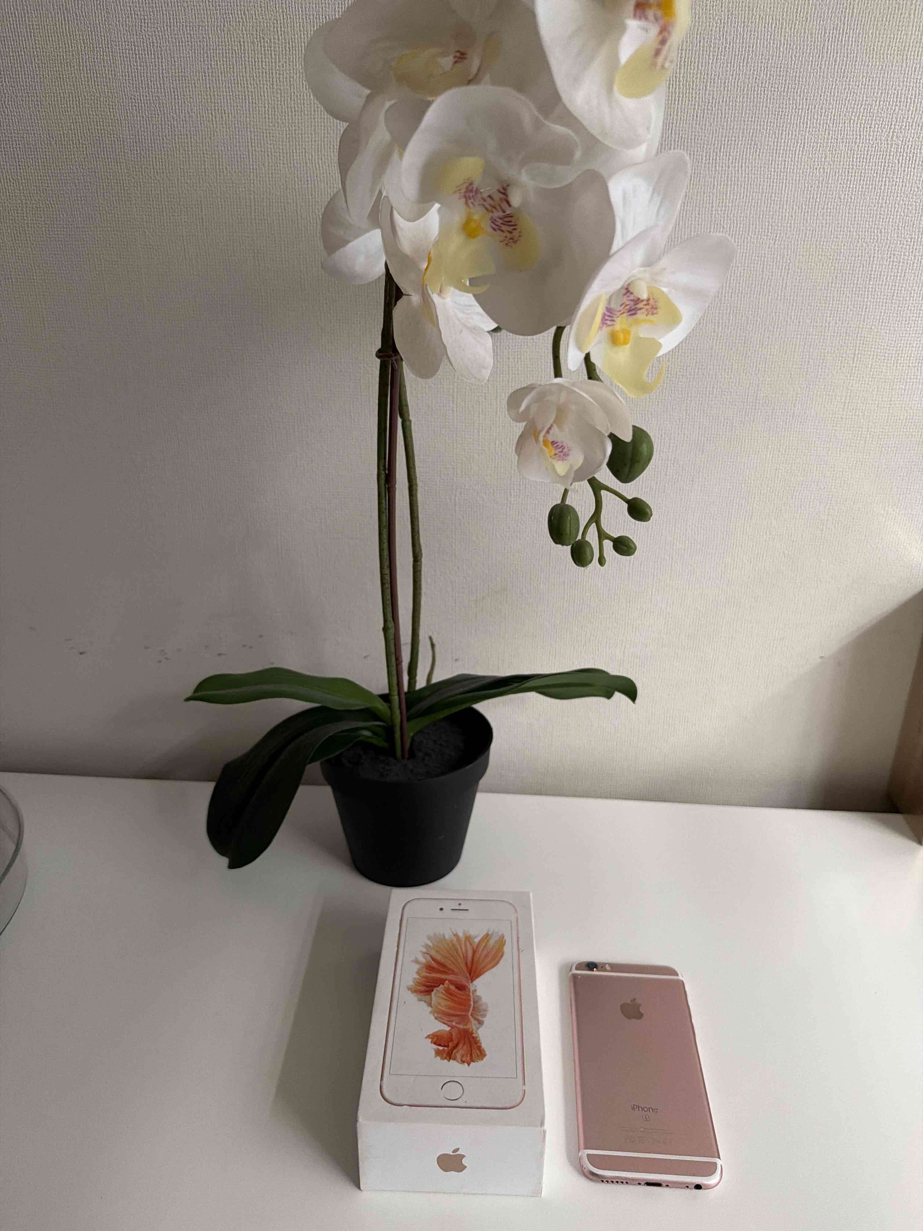 iPhone con caja original iPhone 6s - miniatura 2