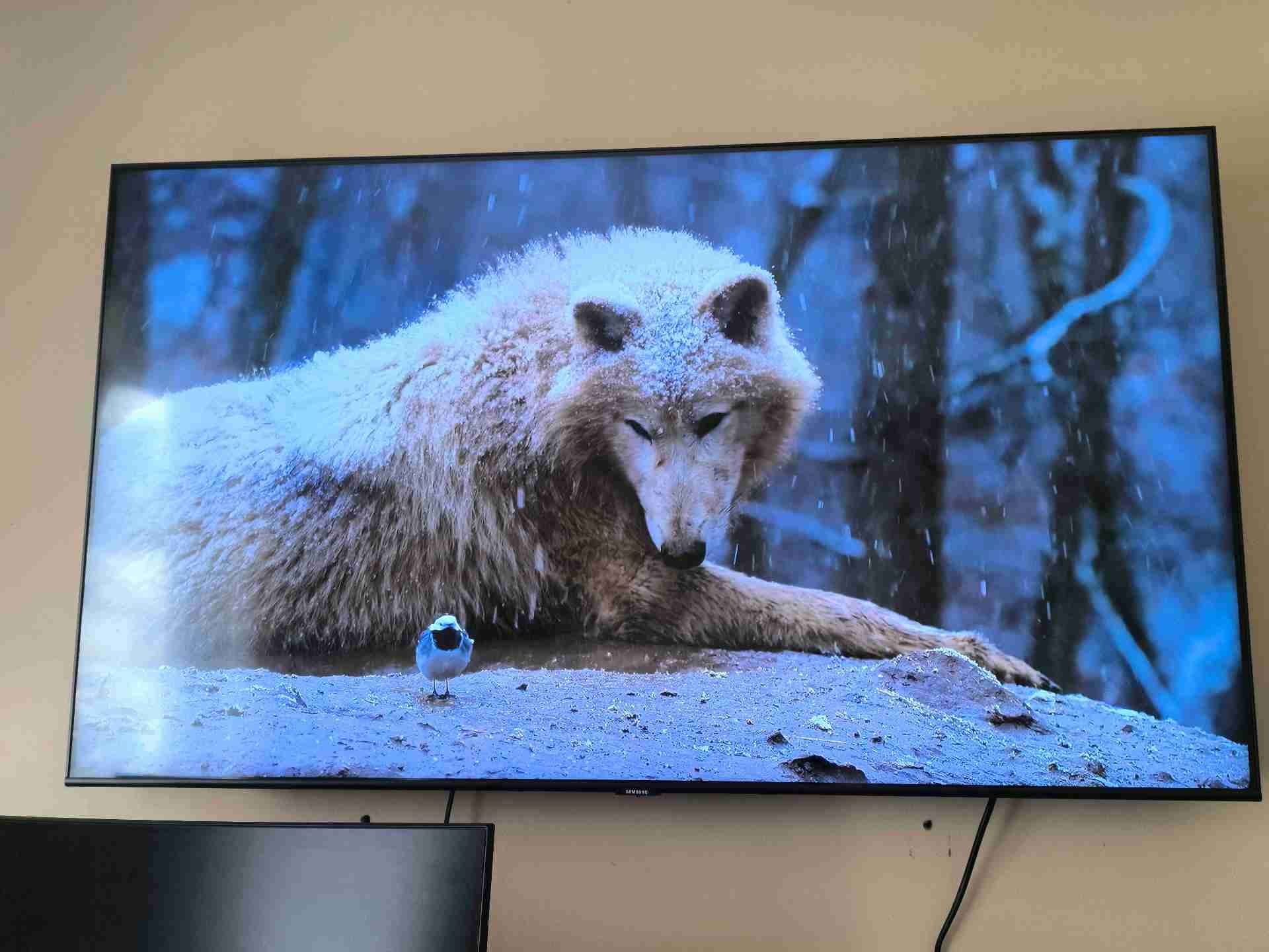 Smart TV 55' QLED 4K SAMSUNG