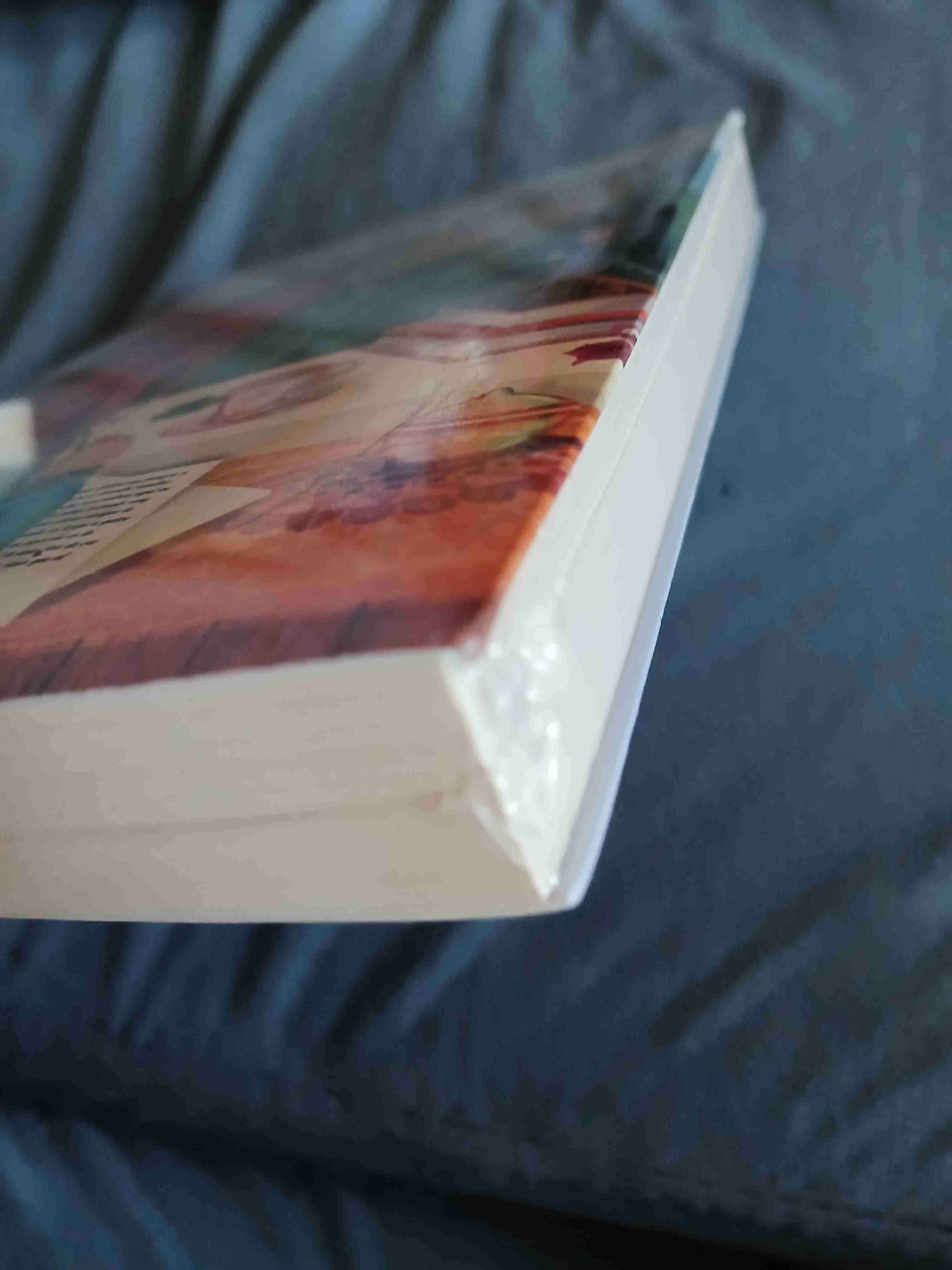 Libro 'Ana la de Álamos Ventosos' - miniatura 3