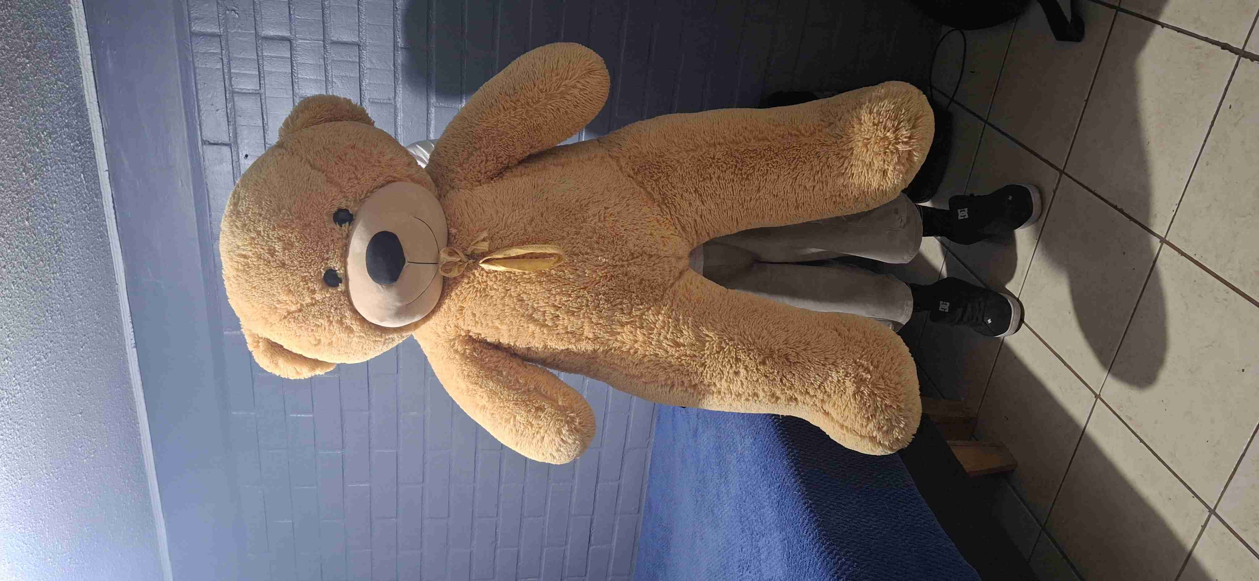 Peluche oso gigante