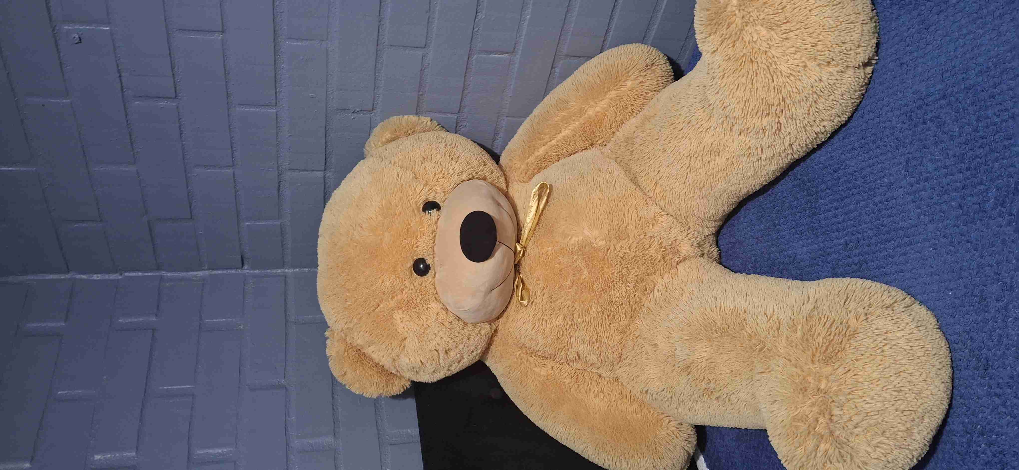 Peluche oso gigante - miniatura 2