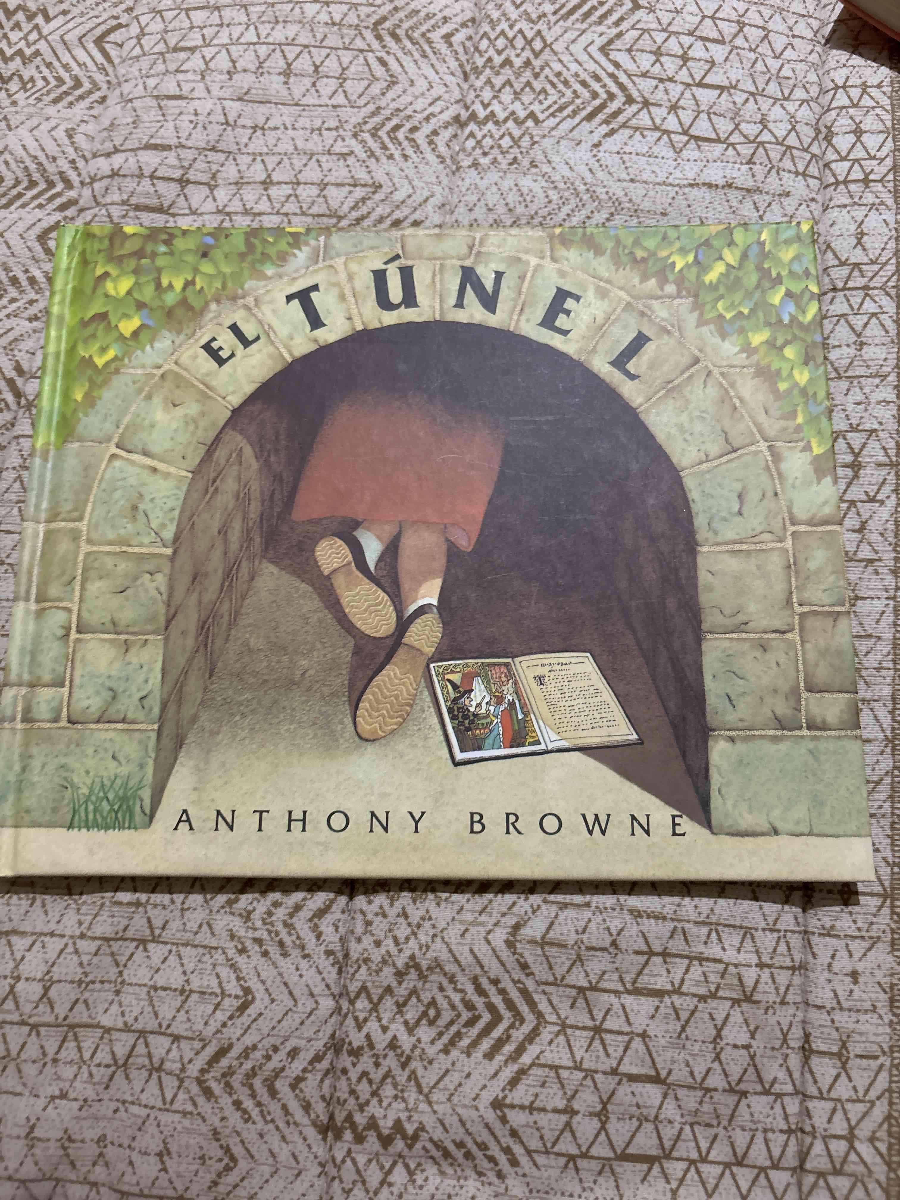 Libro 'El Túnel' de Anthony Browne