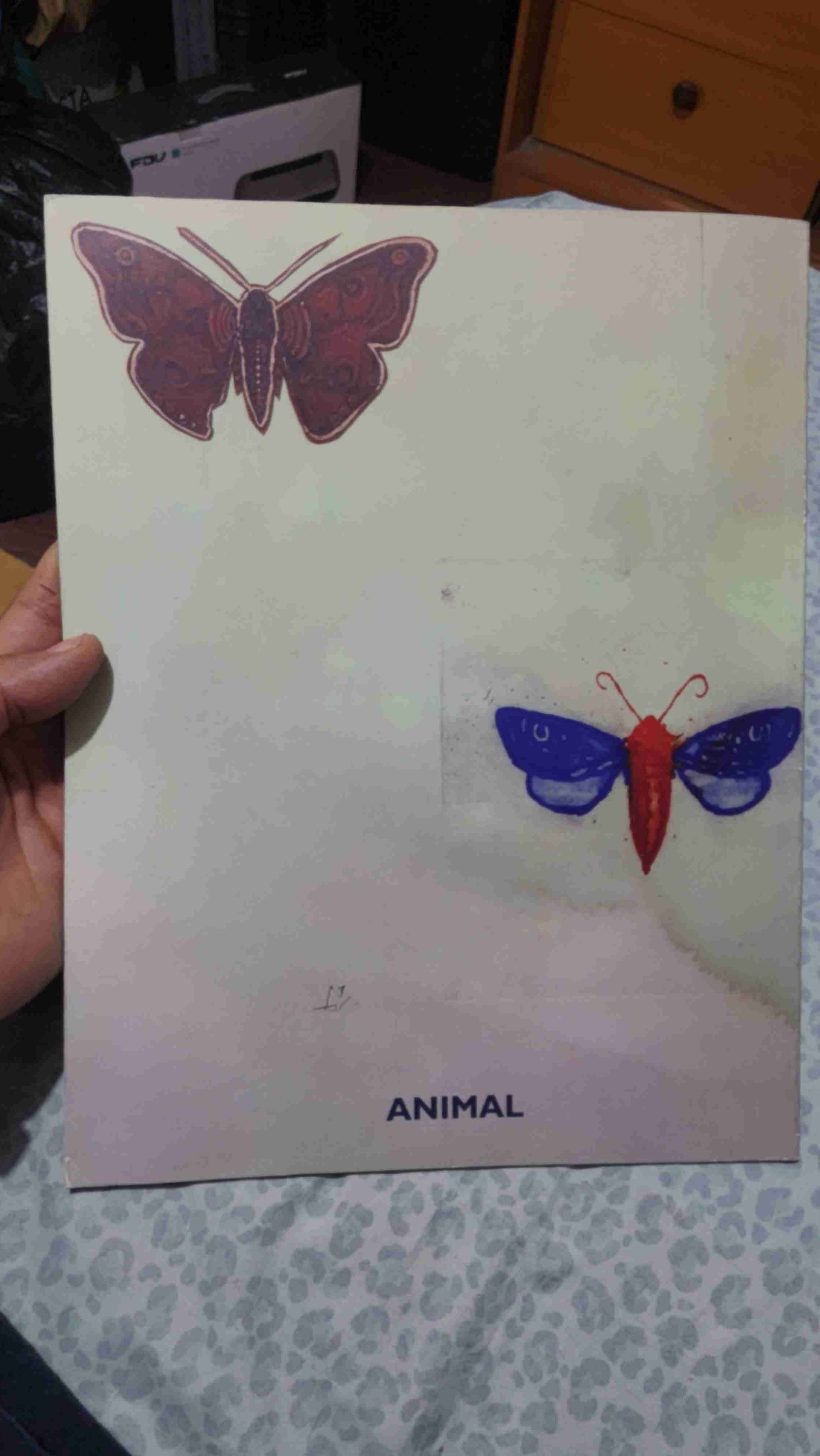 Vinilo Larkin con mariposa - miniatura 2