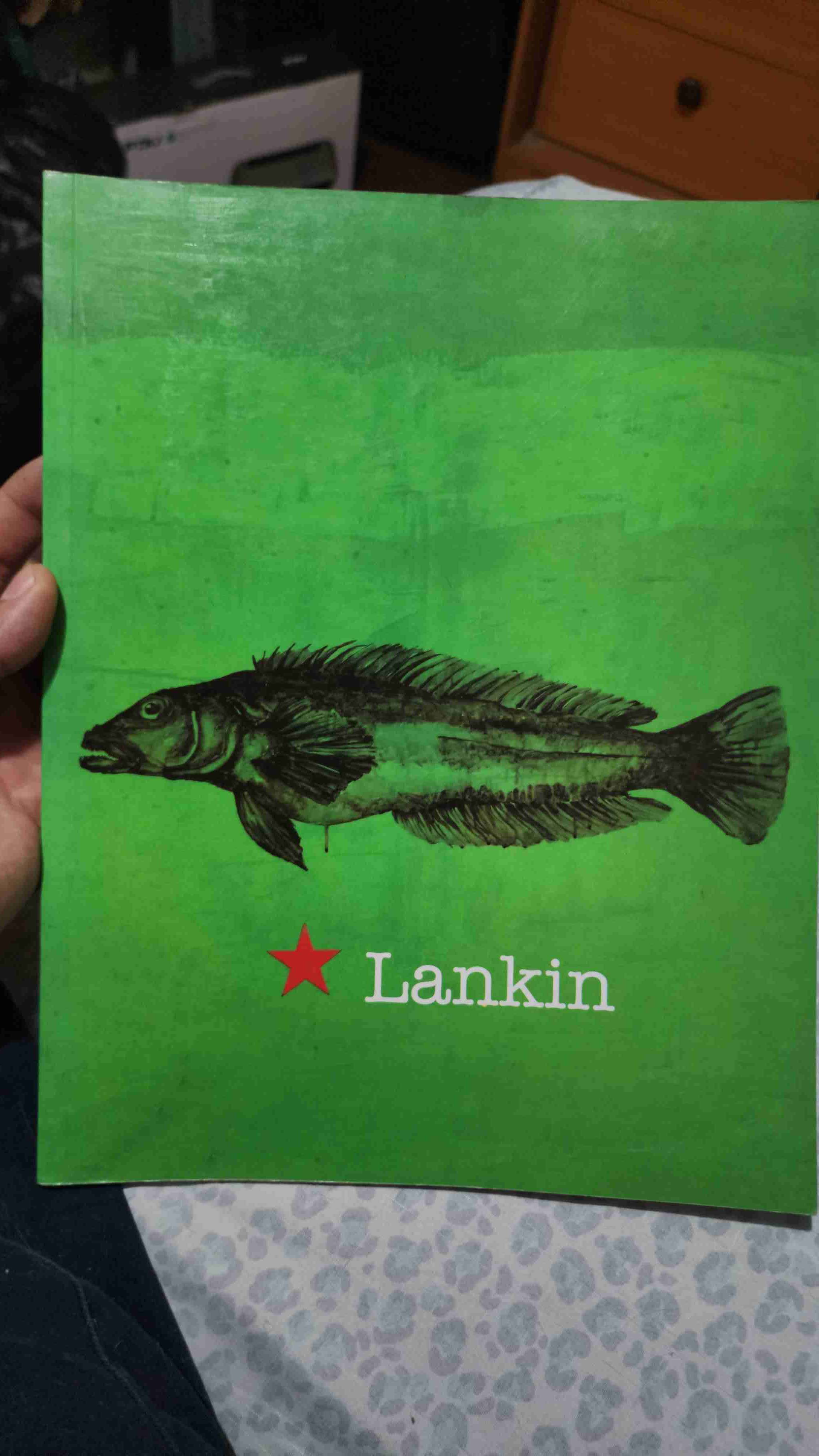 Libro 'Lankin' con ilustración