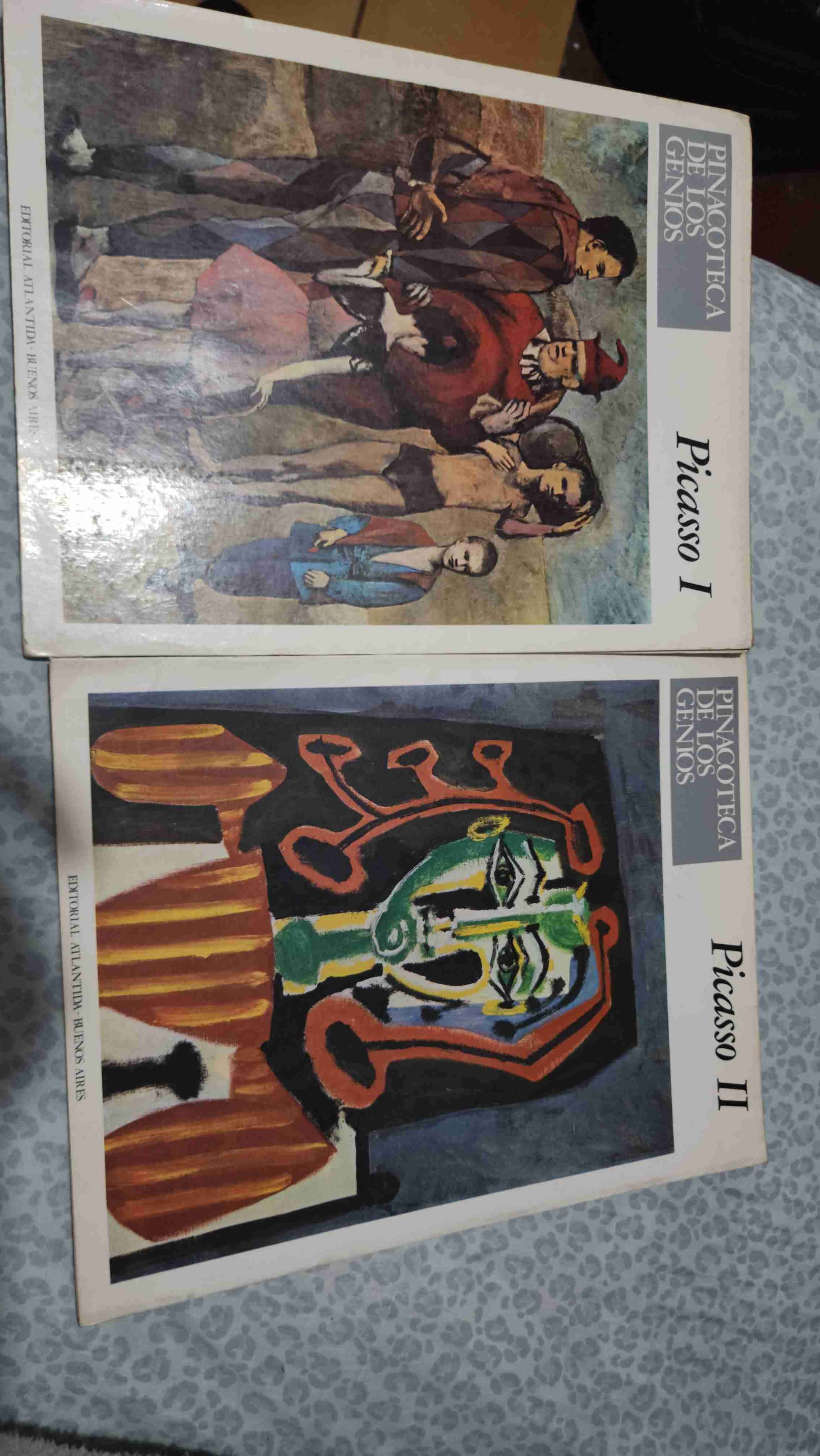 Libros "Picasso I y II"