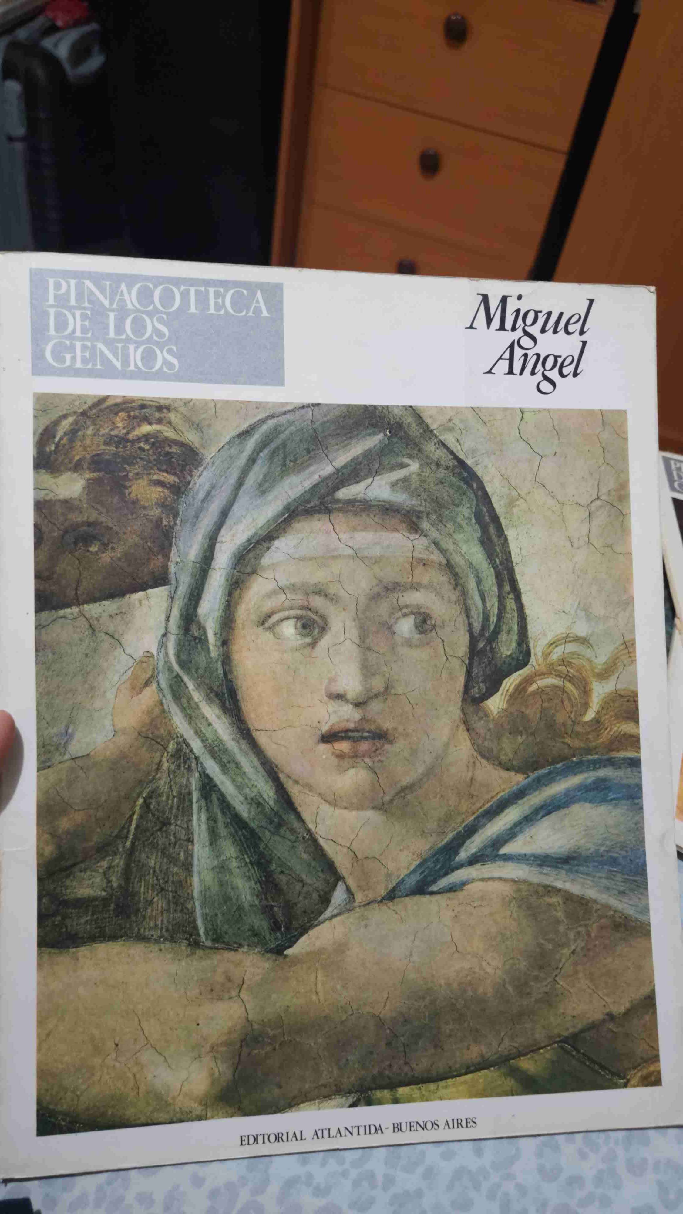 Libro Miguel Ángel Pinacoteca