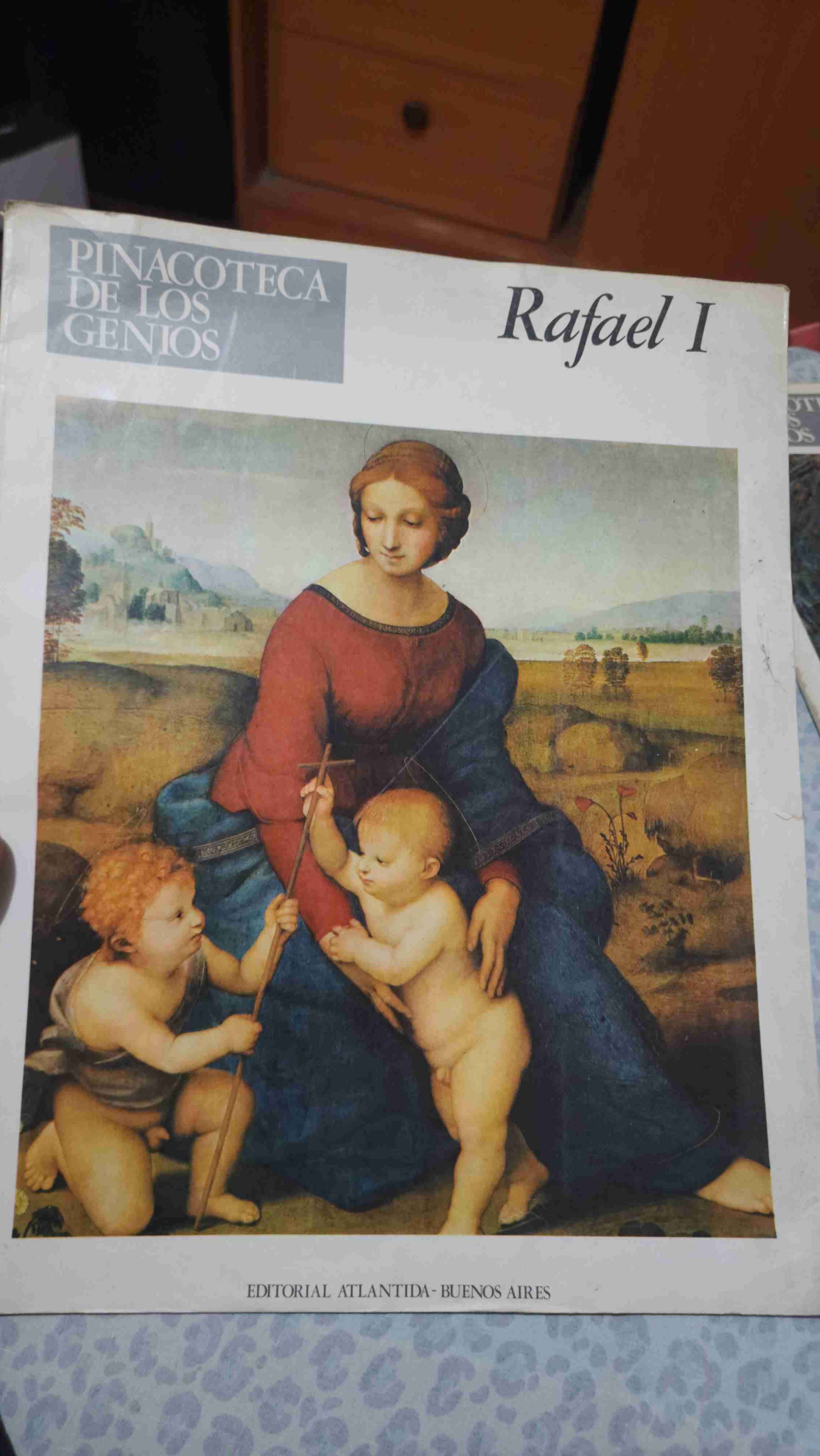 Libro Rafael I Pinacoteca