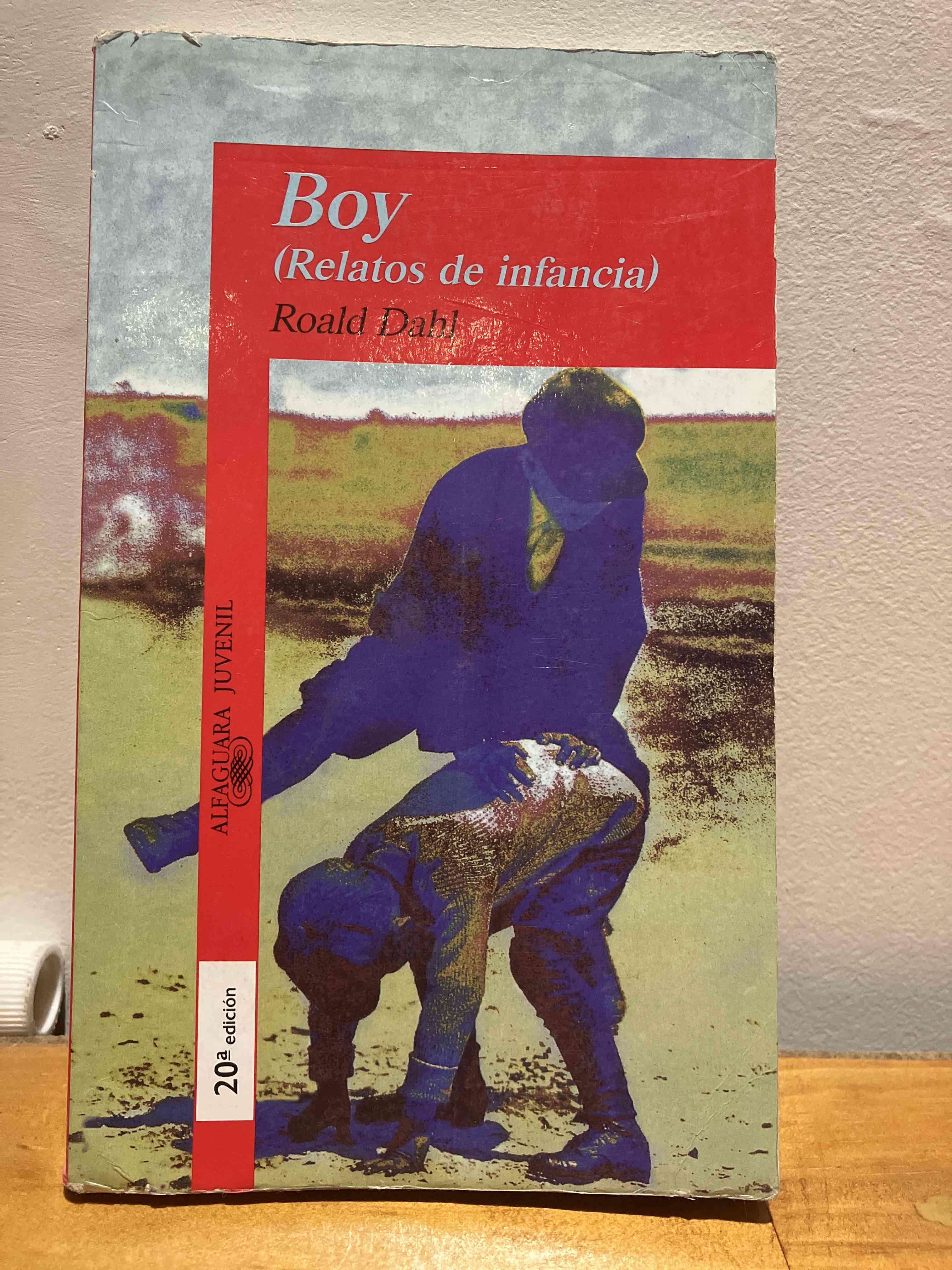 Libro Boy de Roald Dahl