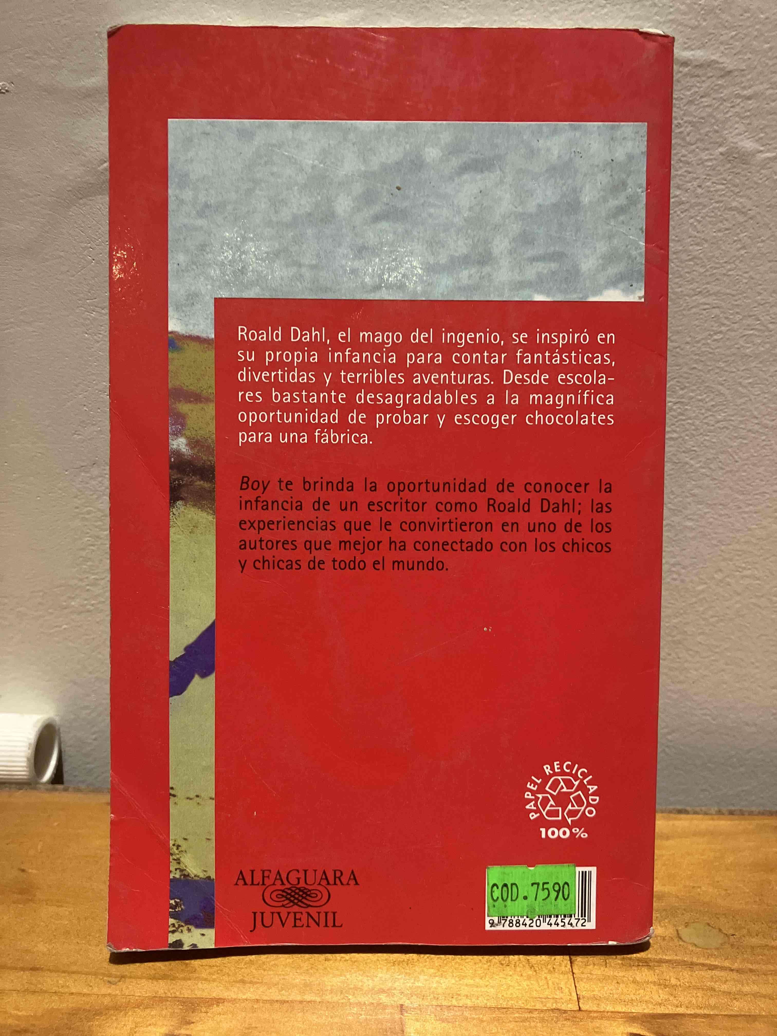 Libro Boy de Roald Dahl - miniatura 2