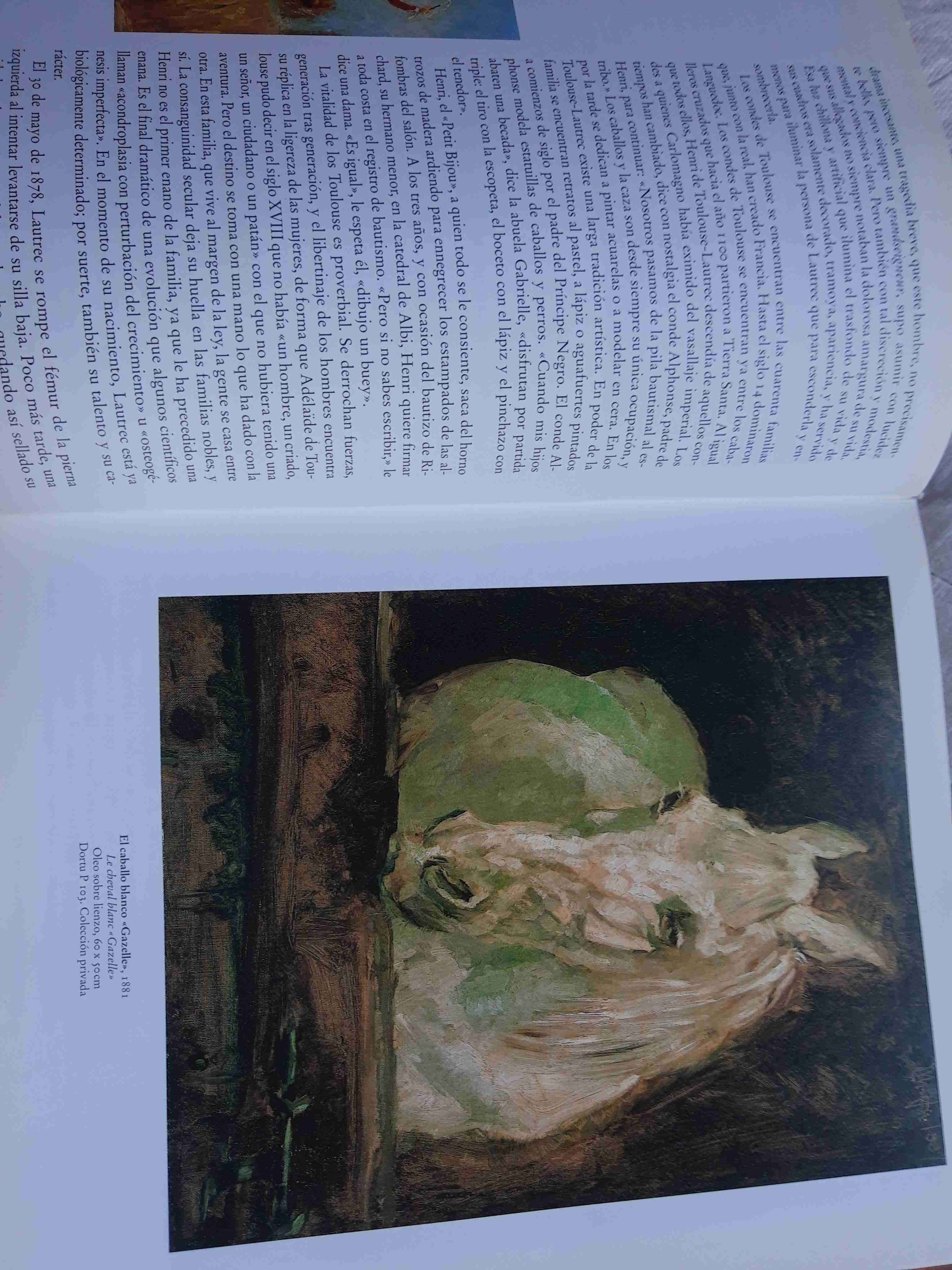 Libro arte Toulouse-Lautrec - miniatura 2