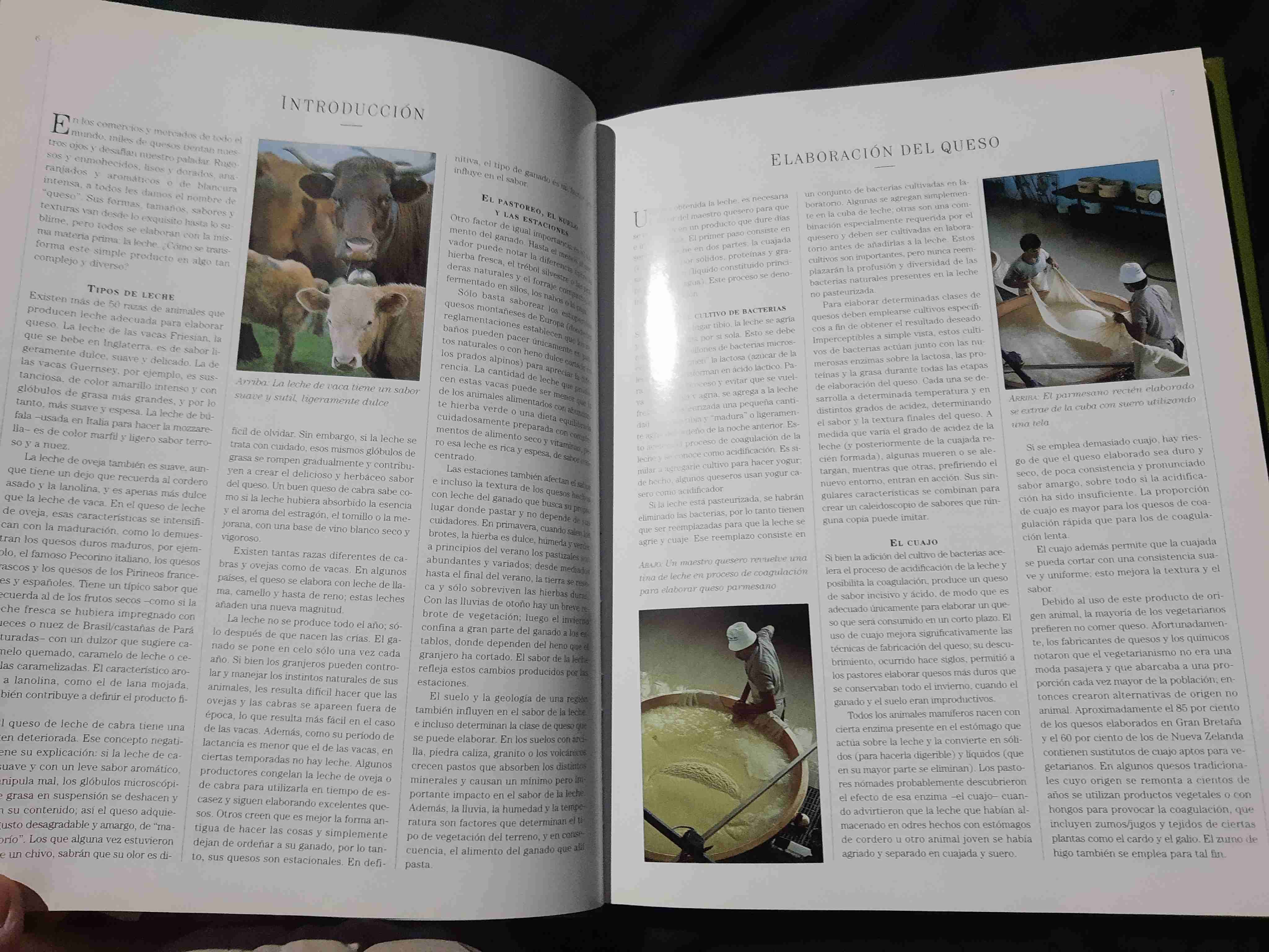 La enciclopedia mundial del queso - miniatura 4