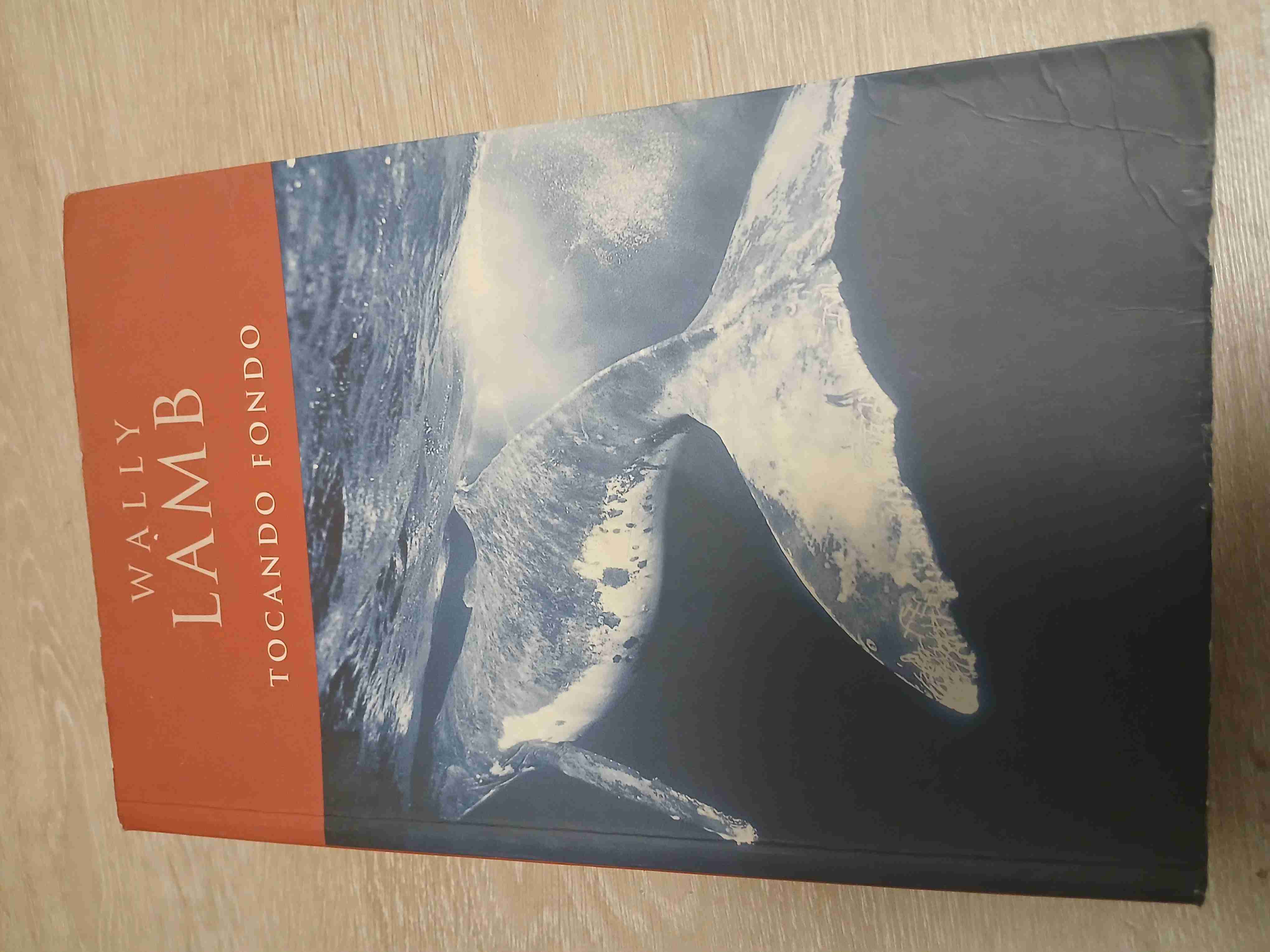 Libro 'Tocando Fondo' de Wally Lamb