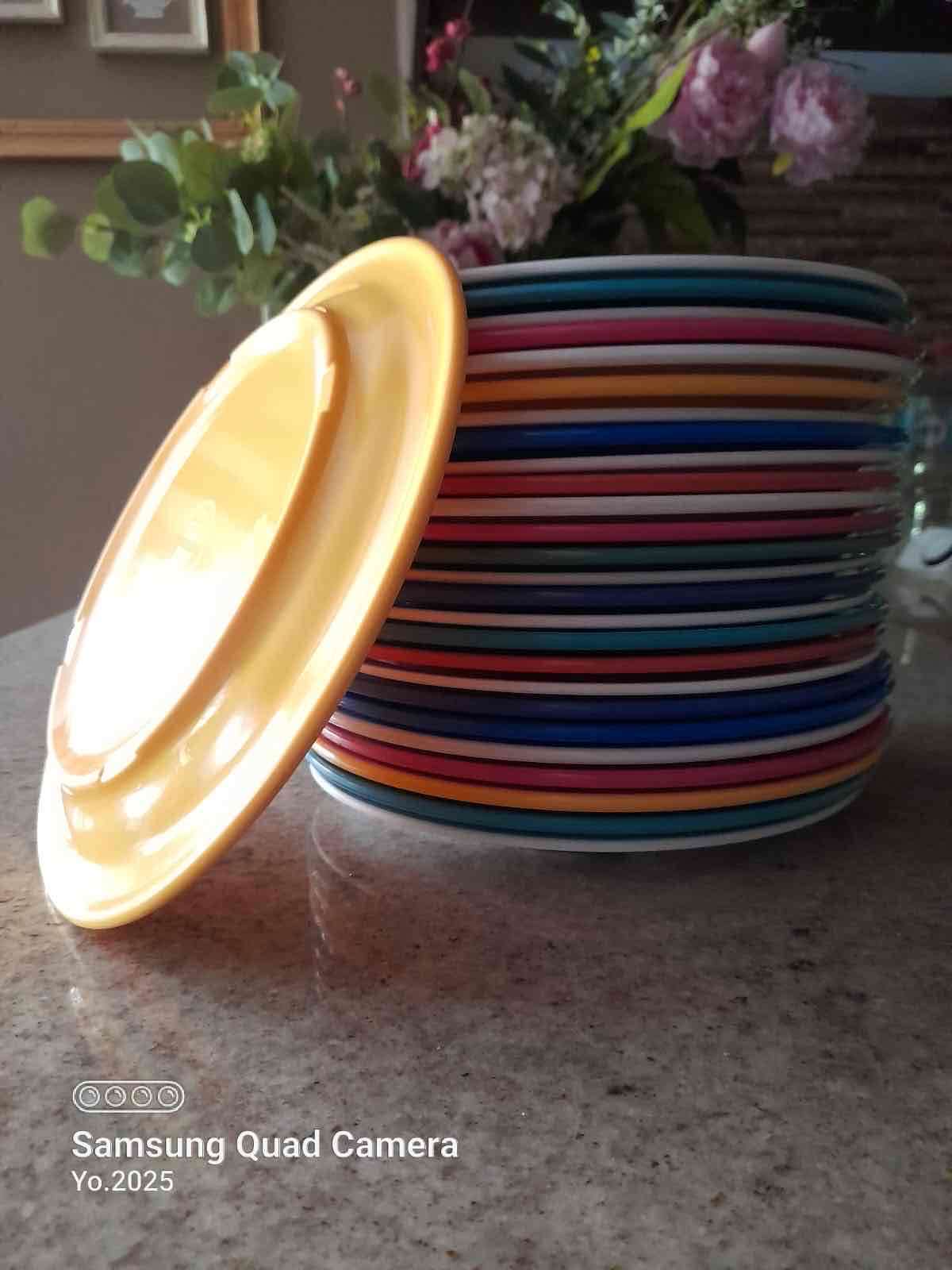 Platos multicolor de melamina - miniatura 3