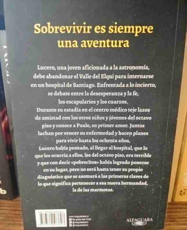 Libro El Viaje de la Marmota - miniatura 2