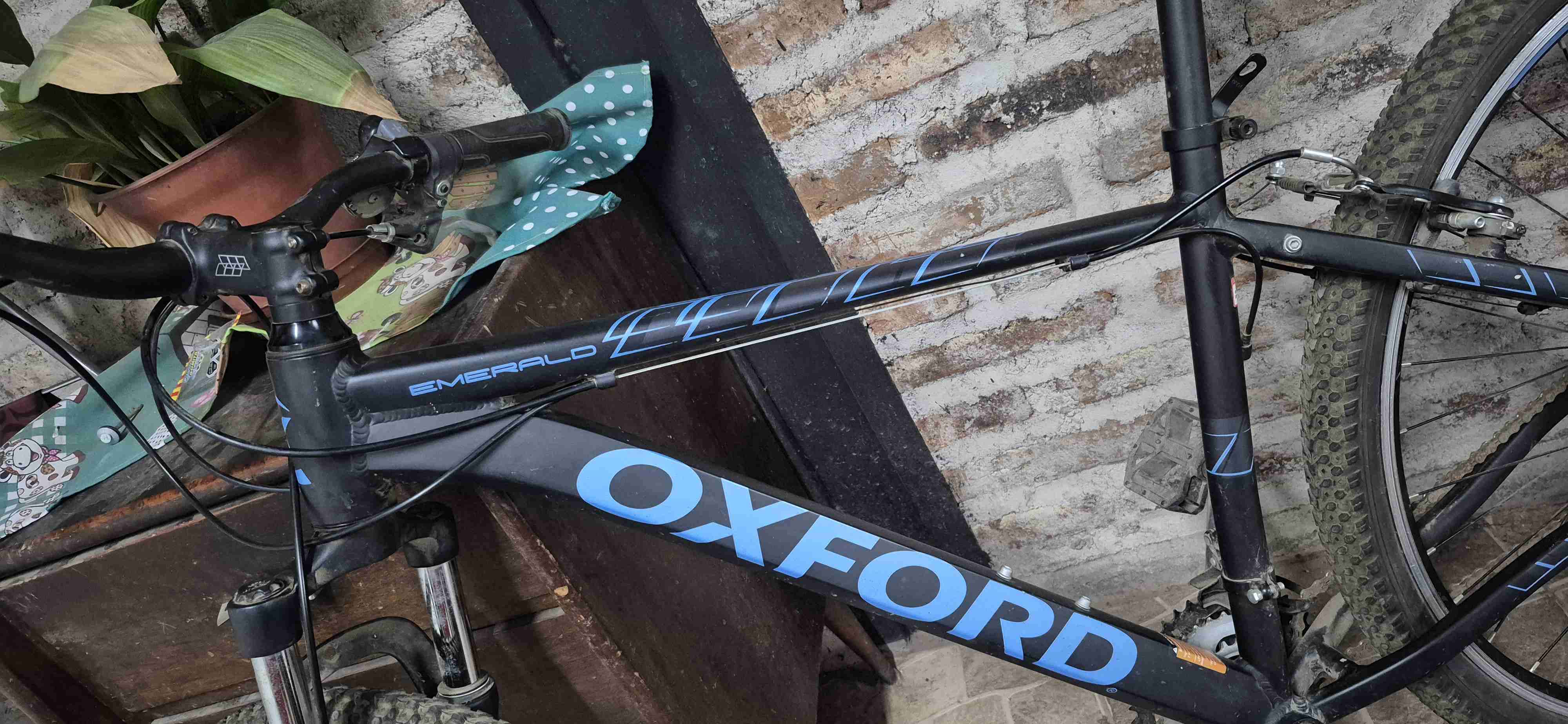 Bicicleta Oxford Emerald aro 29 - miniatura 3