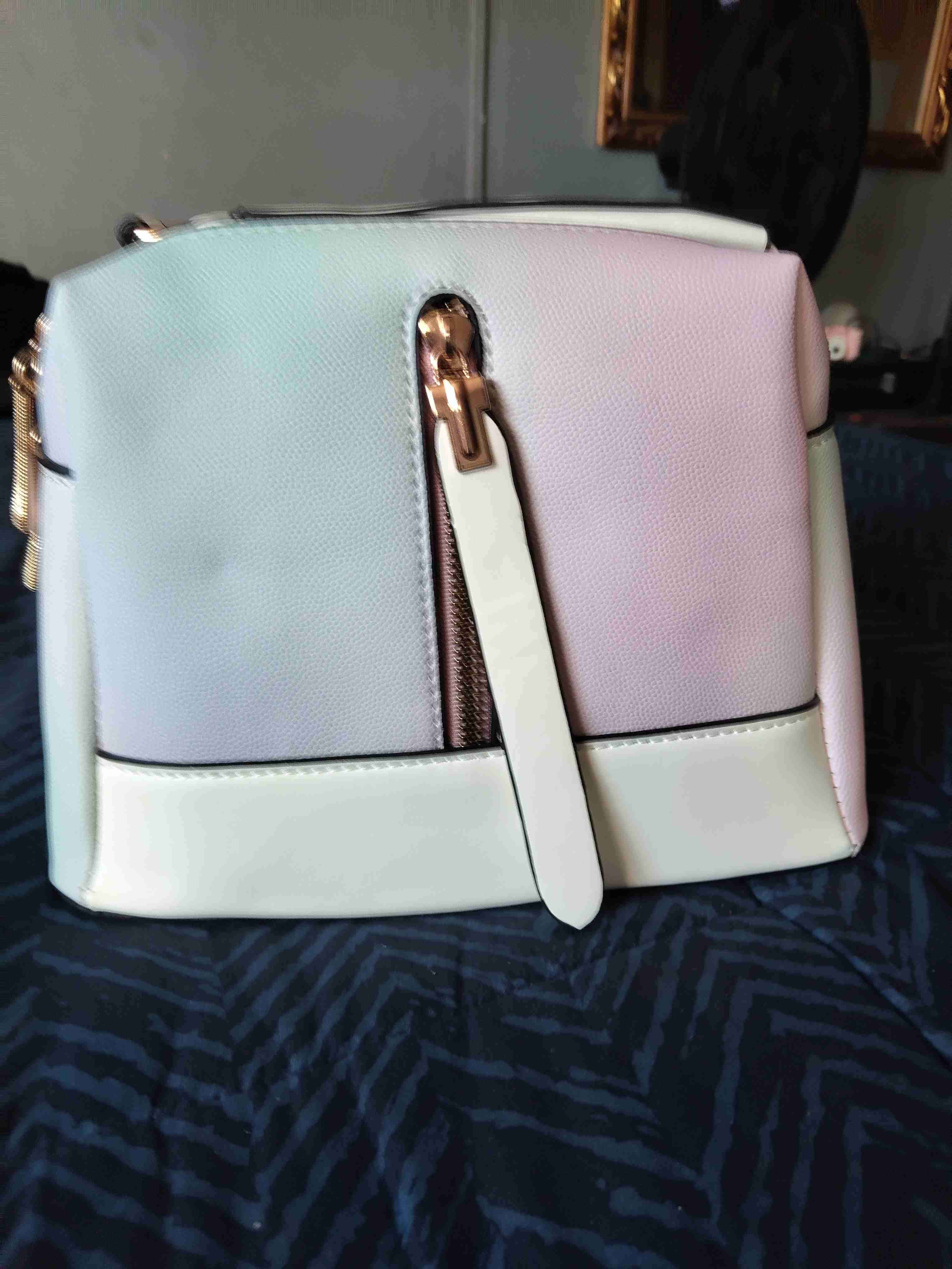 Cartera de mano blanca