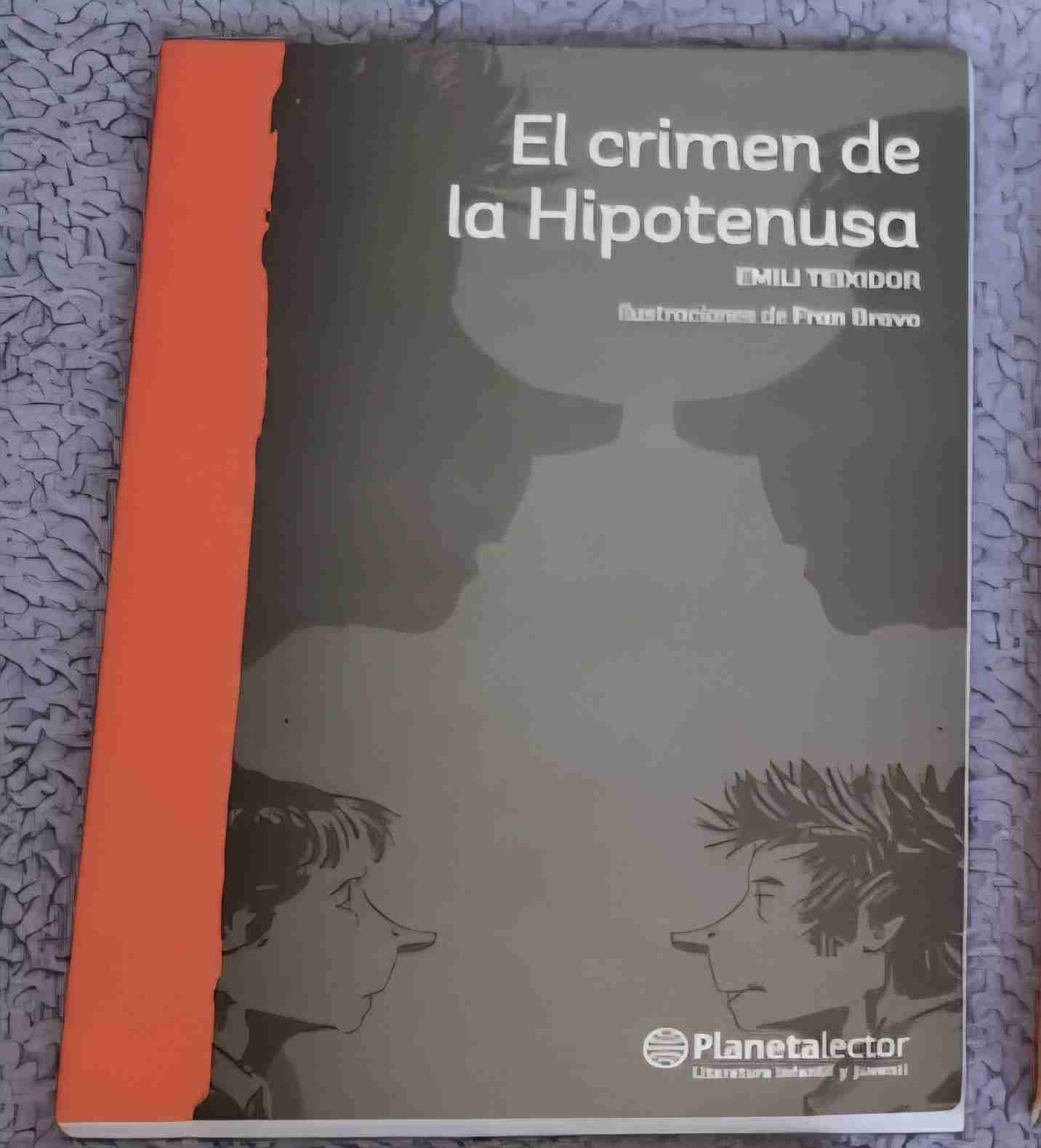 Libro El Crimen de la Hipotenusa