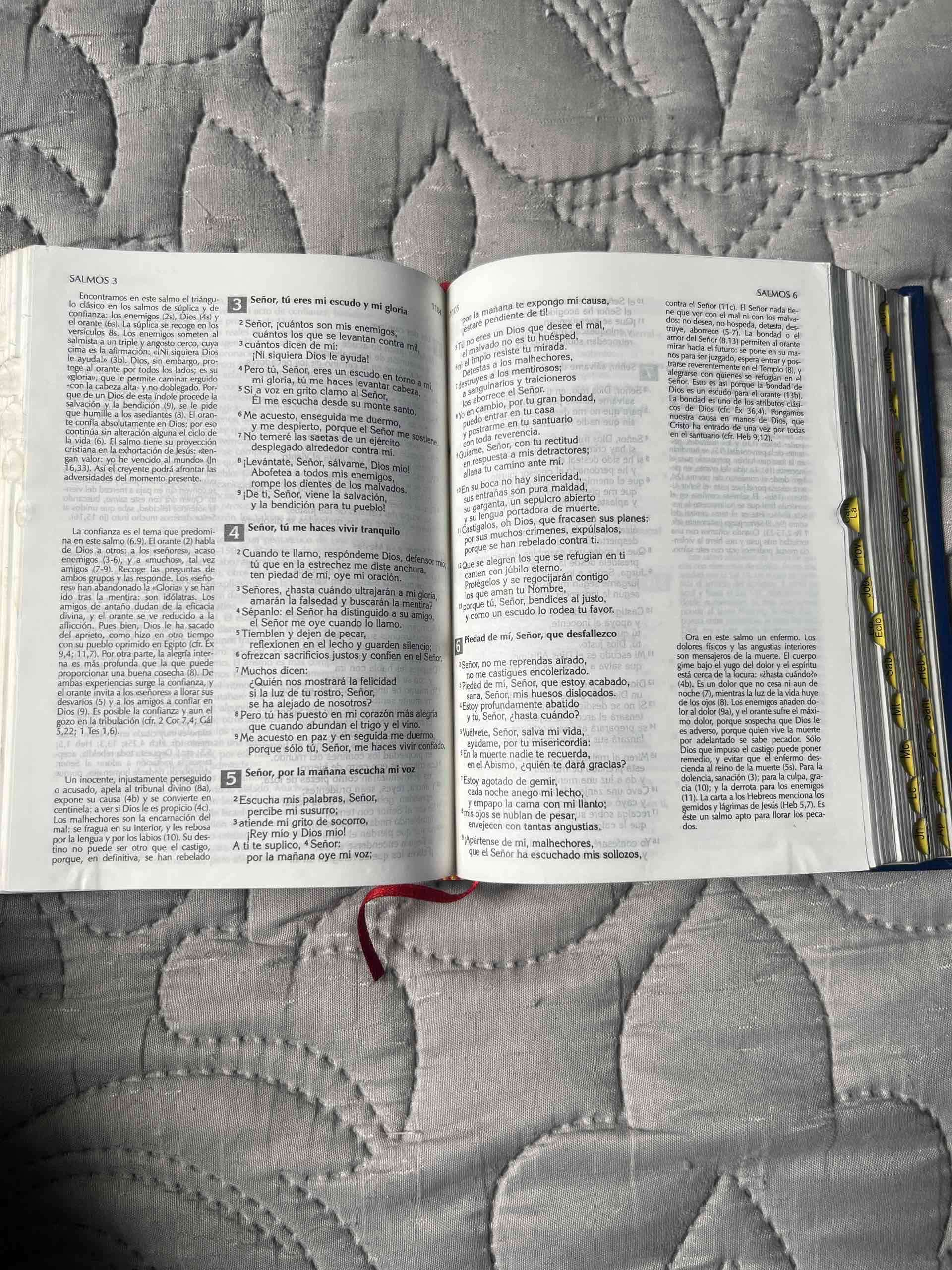 Biblia de Nuestro Pueblo - miniatura 3