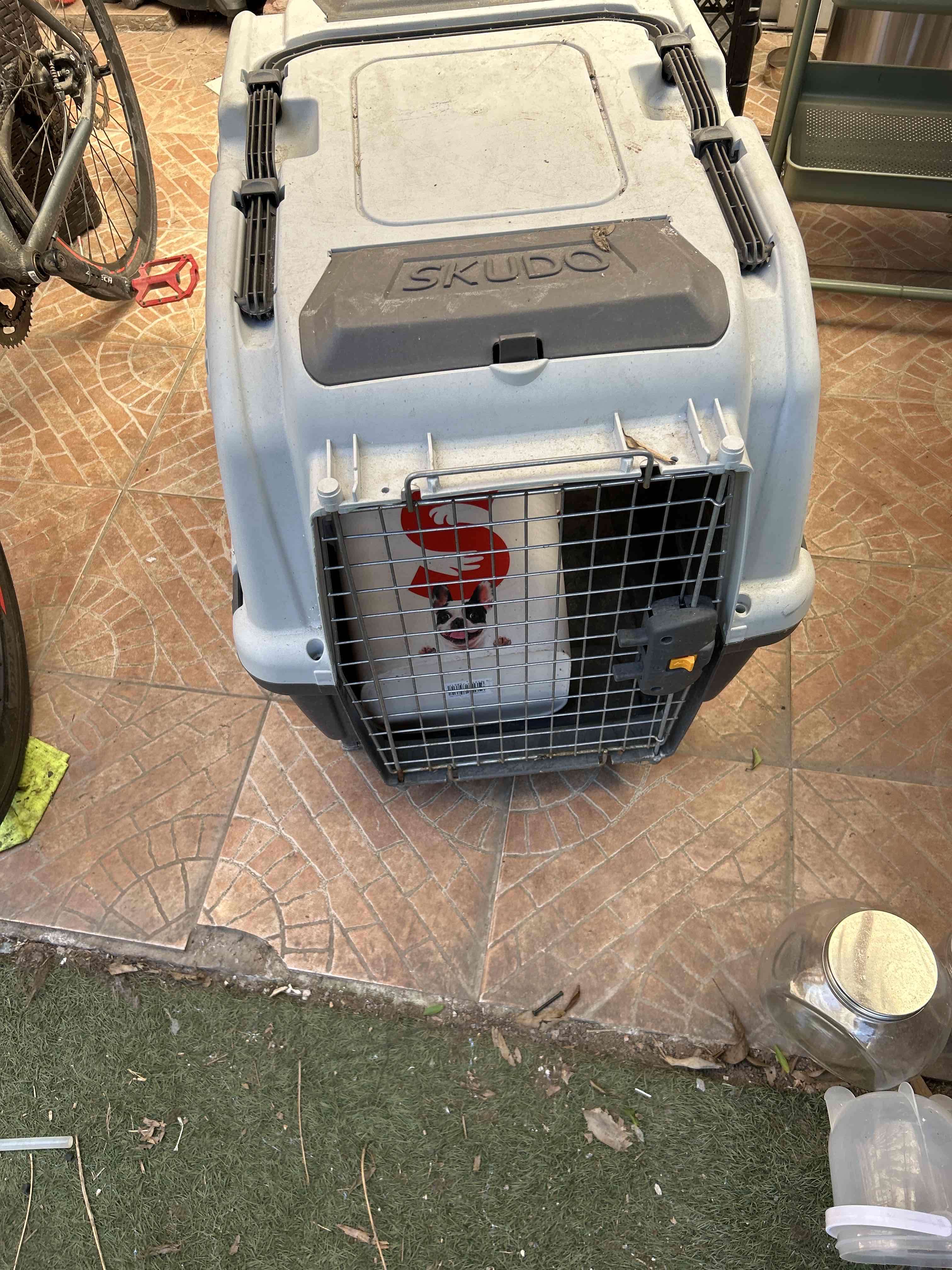 Transportador de mascotas Skudo grande